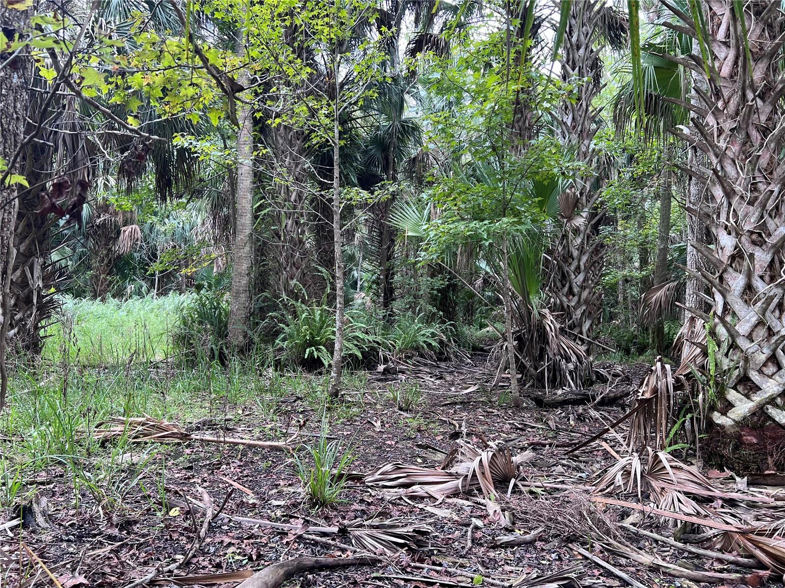 NFS 73 / ALCO RD, ASTOR, FL, 32102