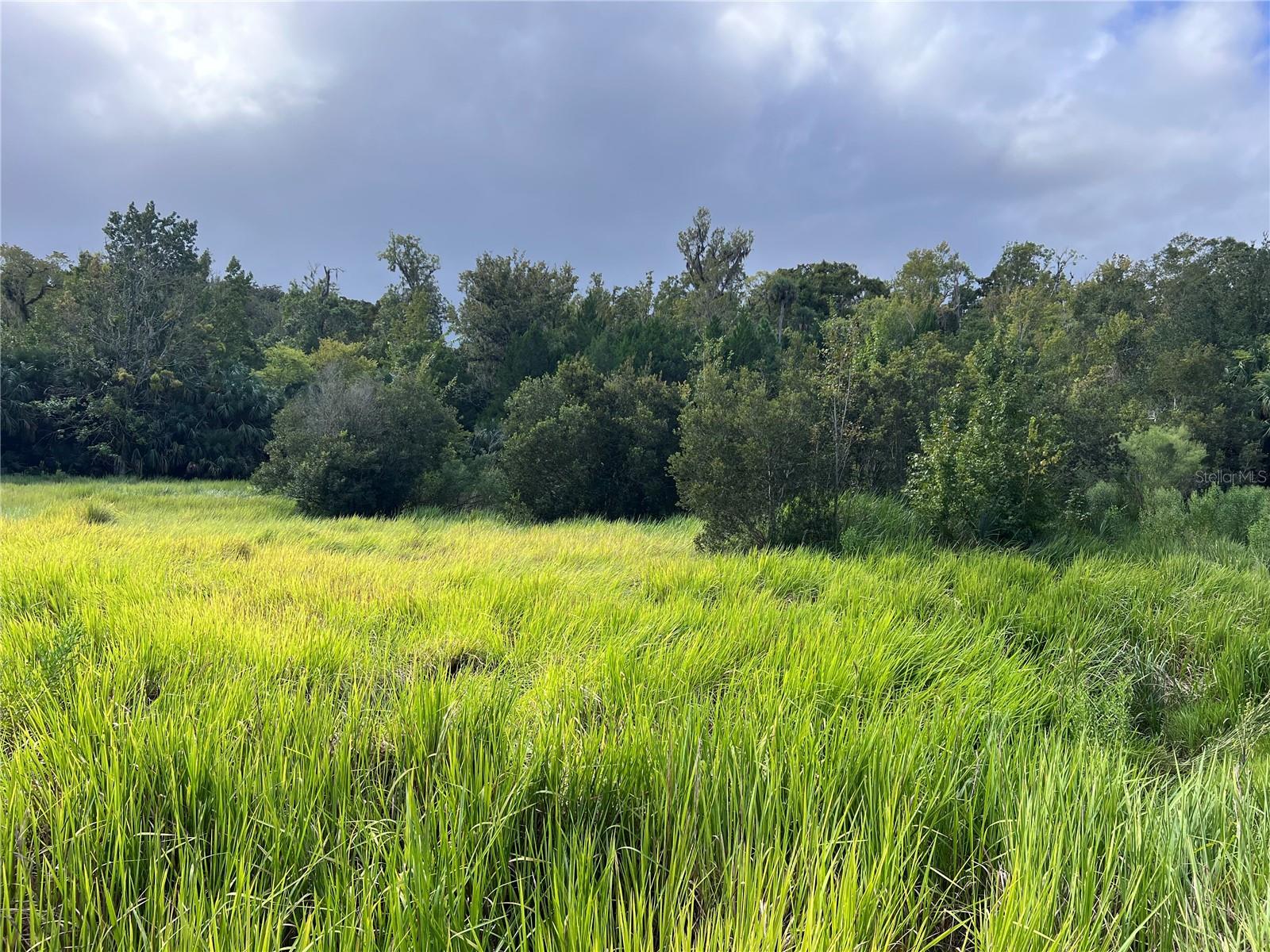 NFS 73 / ALCO RD, ASTOR, FL, 32102