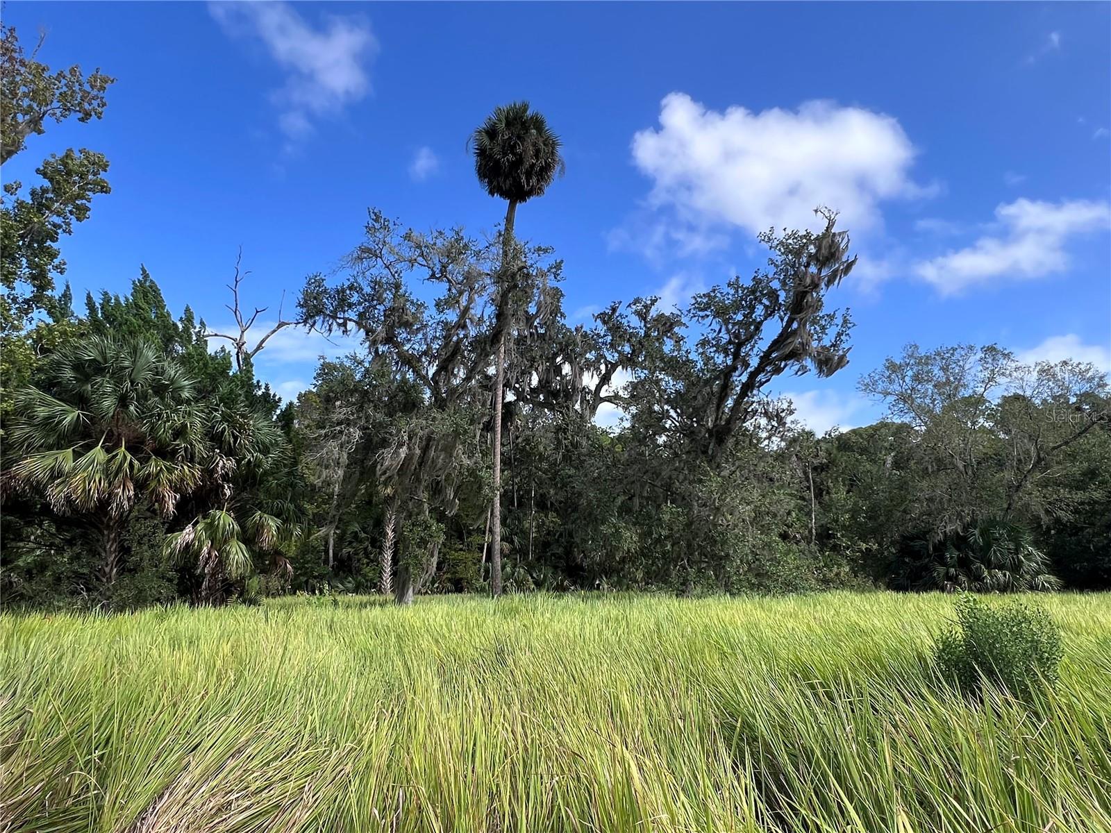 NFS 73 / ALCO RD, ASTOR, FL, 32102