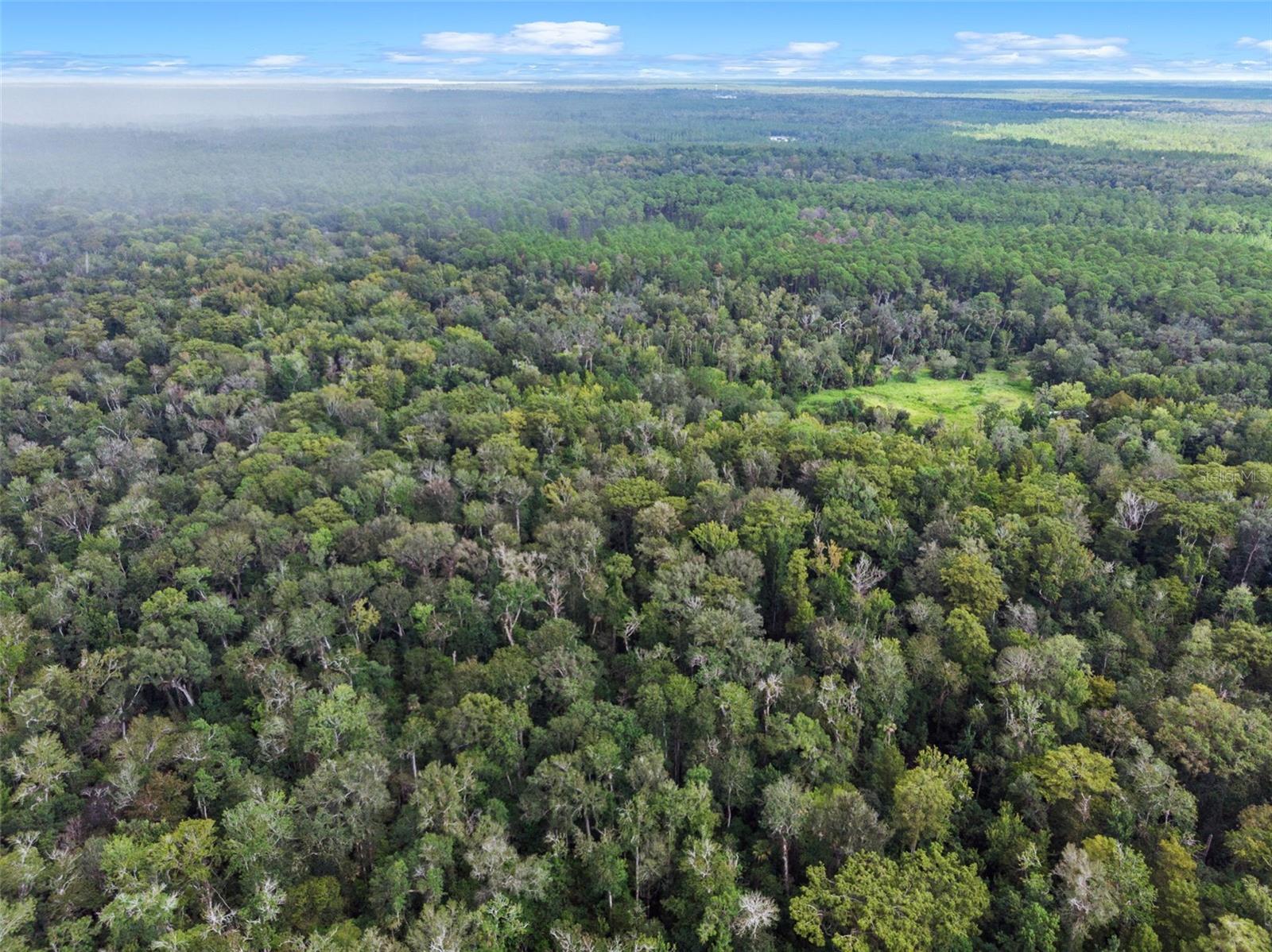 NFS 73 / ALCO RD, ASTOR, FL, 32102