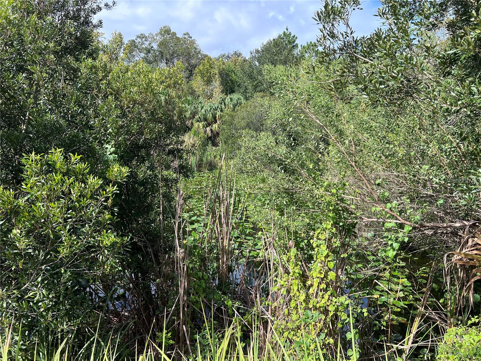 NFS 73 / ALCO RD, ASTOR, FL, 32102