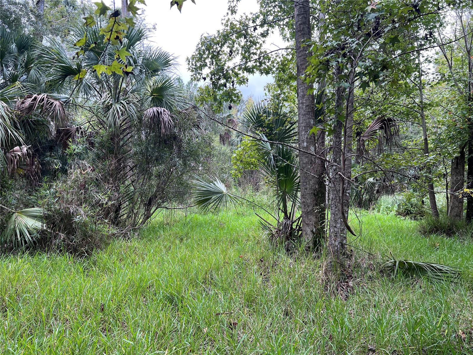 NFS 73 / ALCO RD, ASTOR, FL, 32102