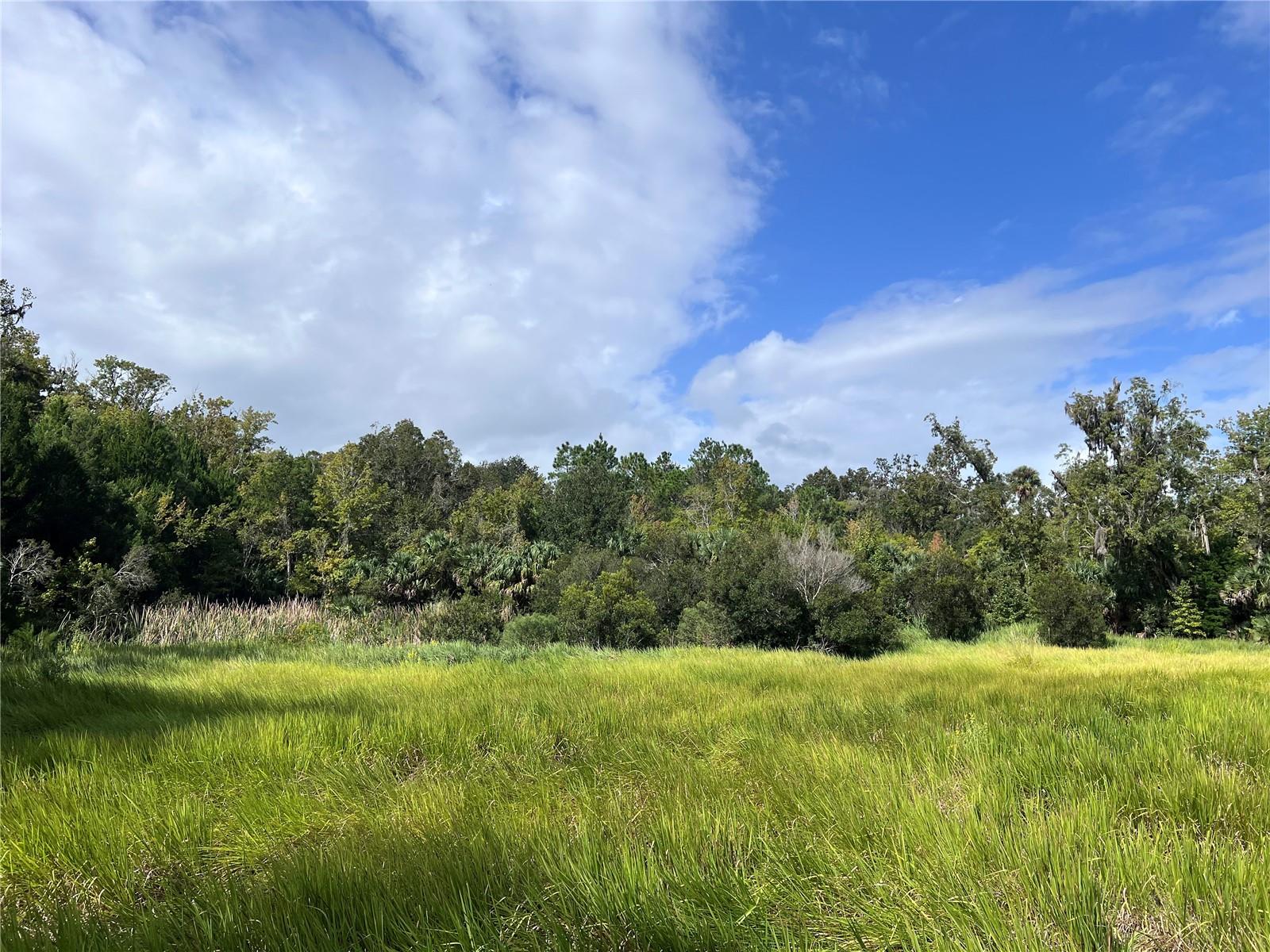 NFS 73 / ALCO RD, ASTOR, FL, 32102