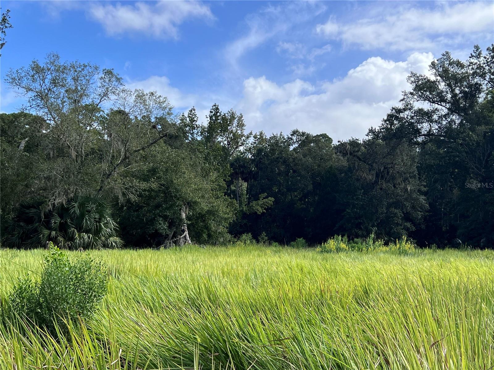 NFS 73 / ALCO RD, ASTOR, FL, 32102