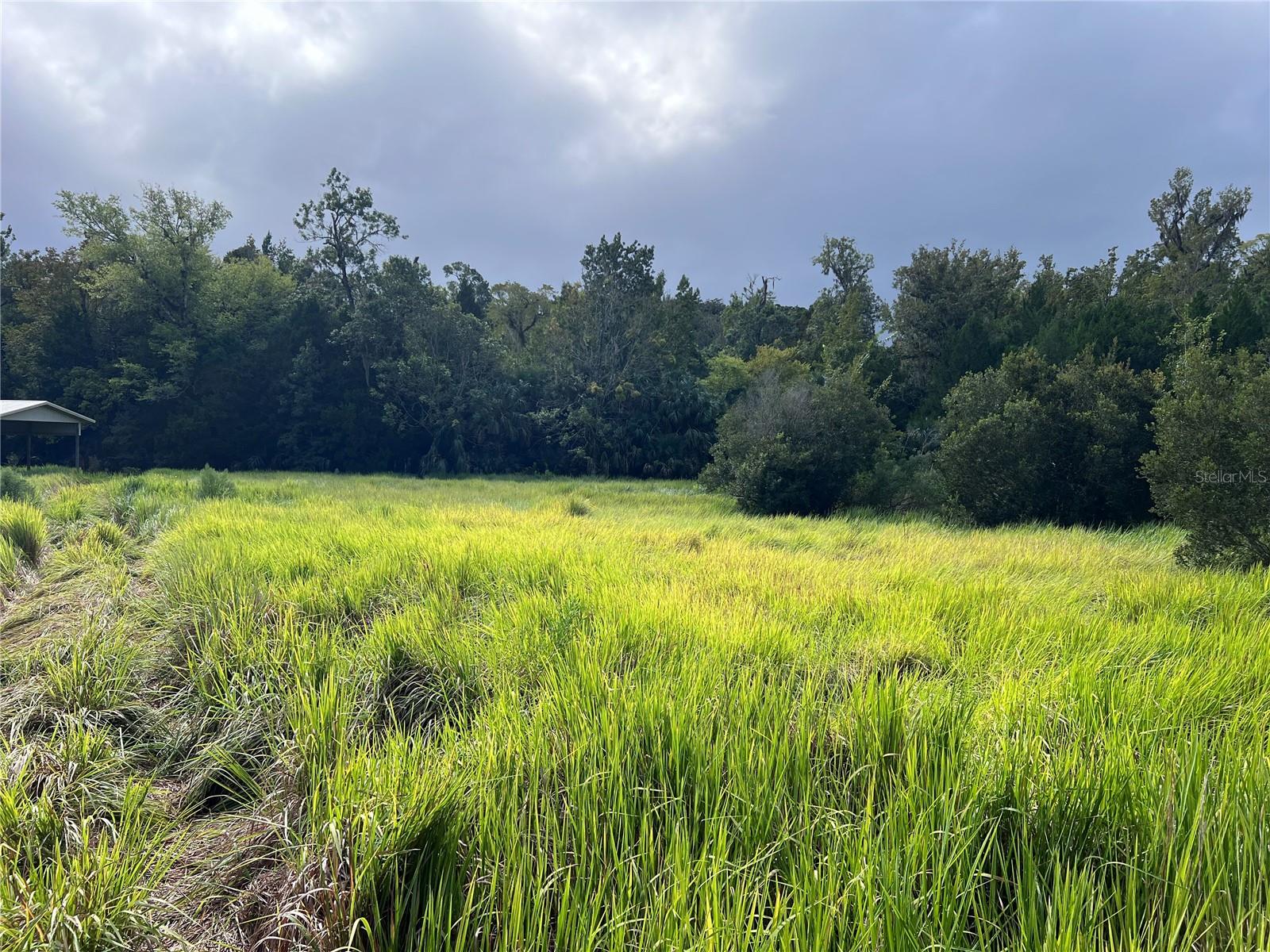 NFS 73 / ALCO RD, ASTOR, FL, 32102