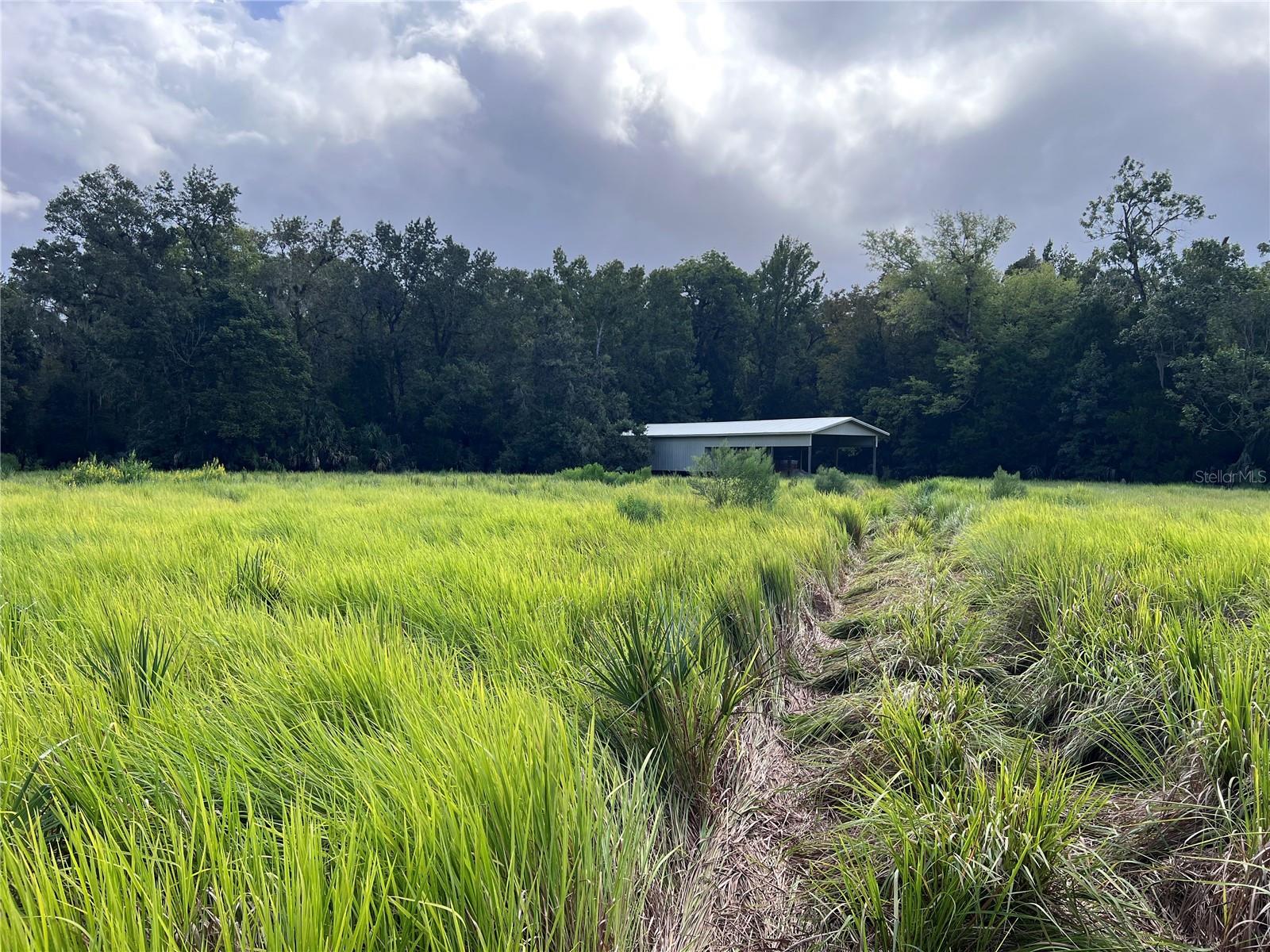 NFS 73 / ALCO RD, ASTOR, FL, 32102