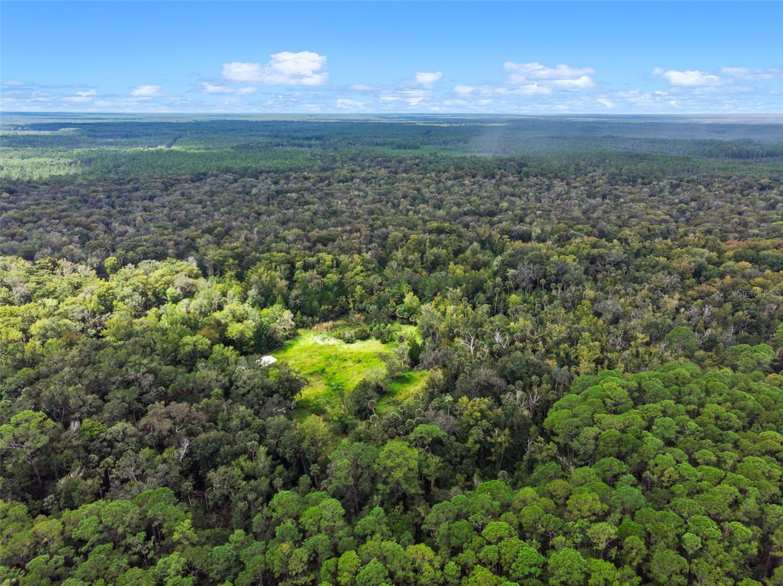 NFS 73 / ALCO RD, ASTOR, FL, 32102