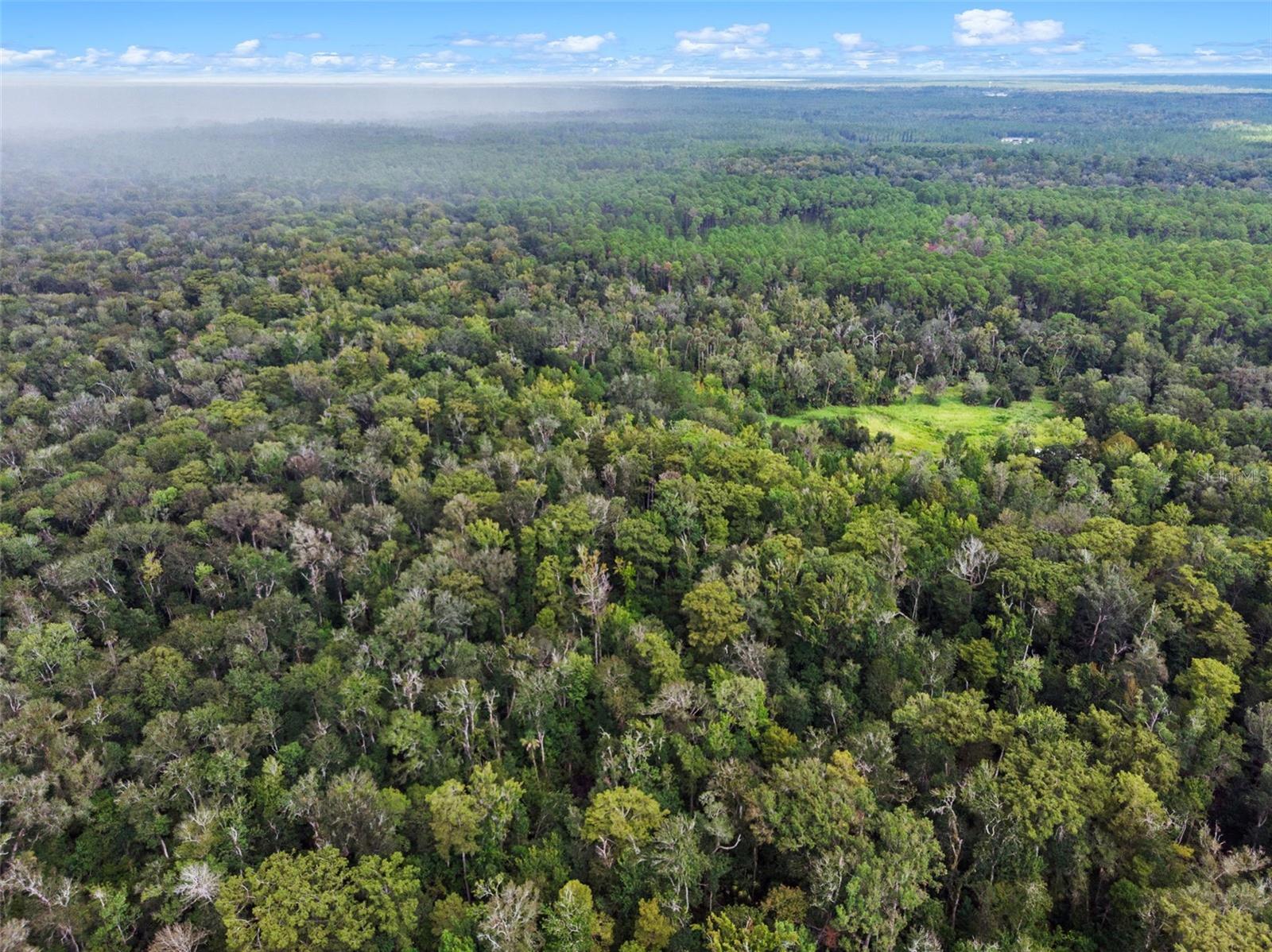 NFS 73 / ALCO RD, ASTOR, FL, 32102