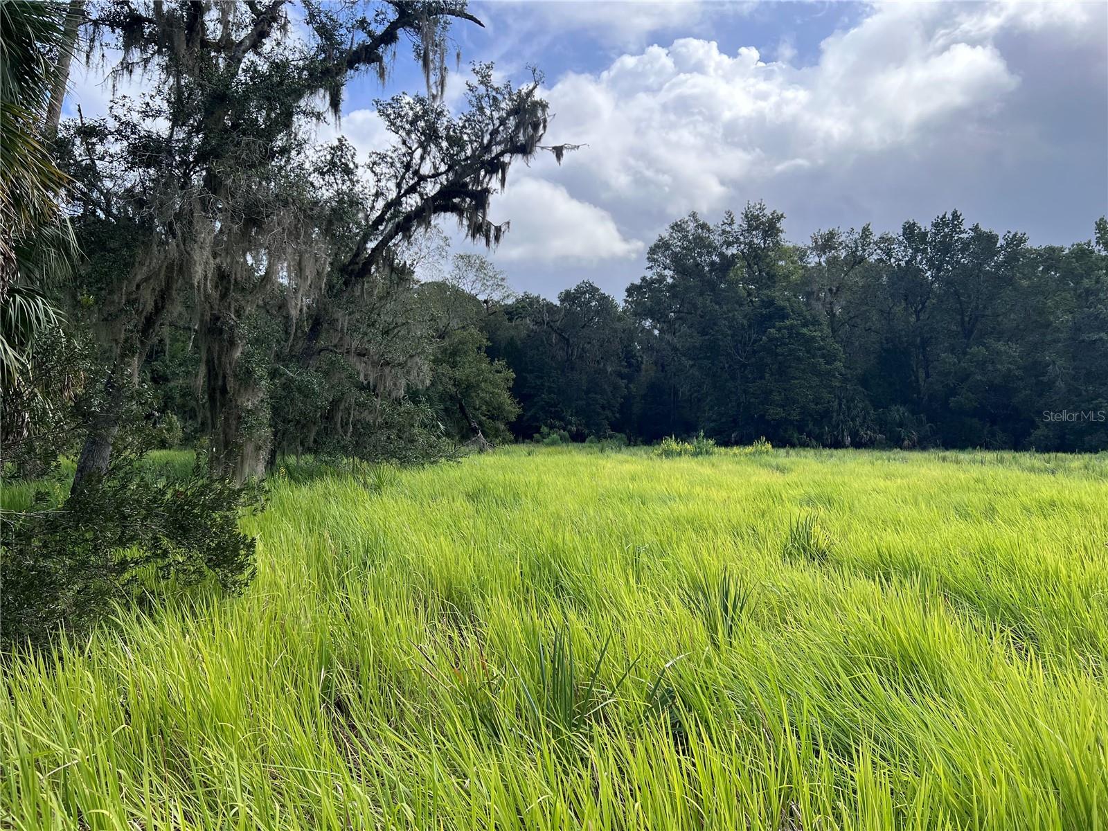 NFS 73 / ALCO RD, ASTOR, FL, 32102