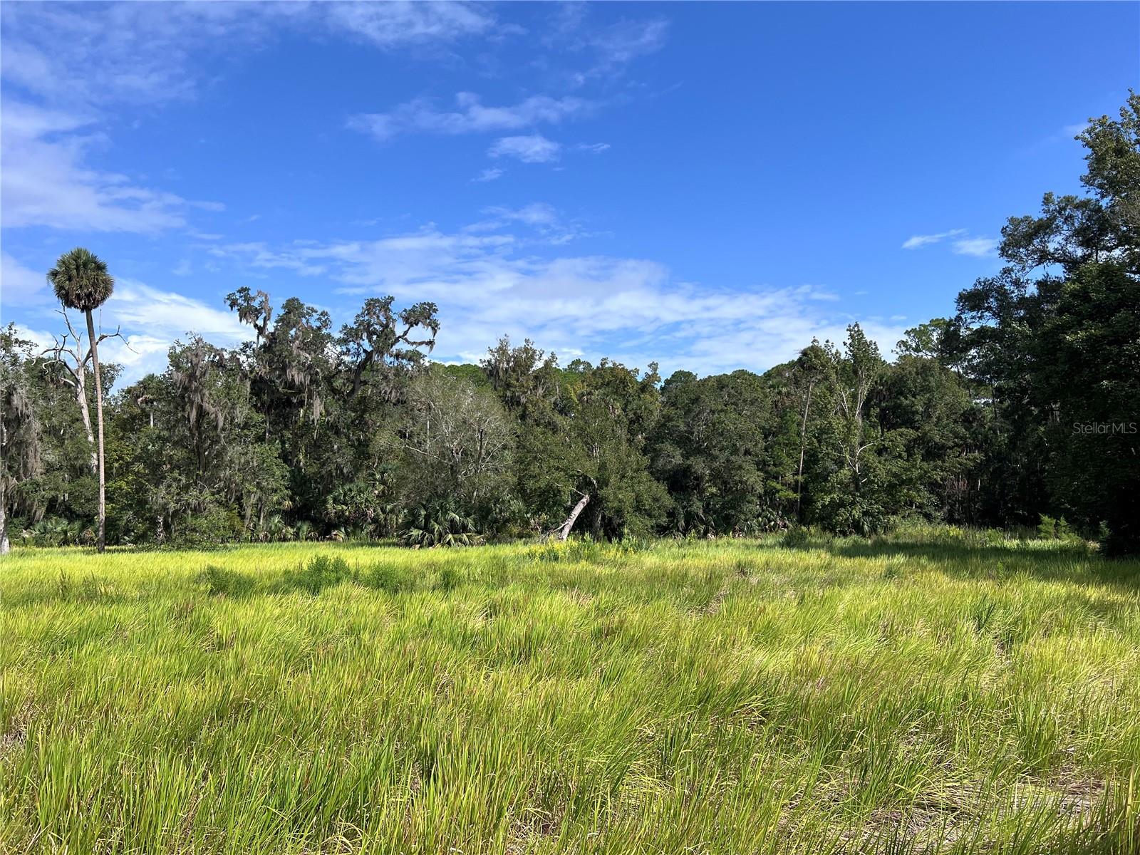 NFS 73 / ALCO RD, ASTOR, FL, 32102