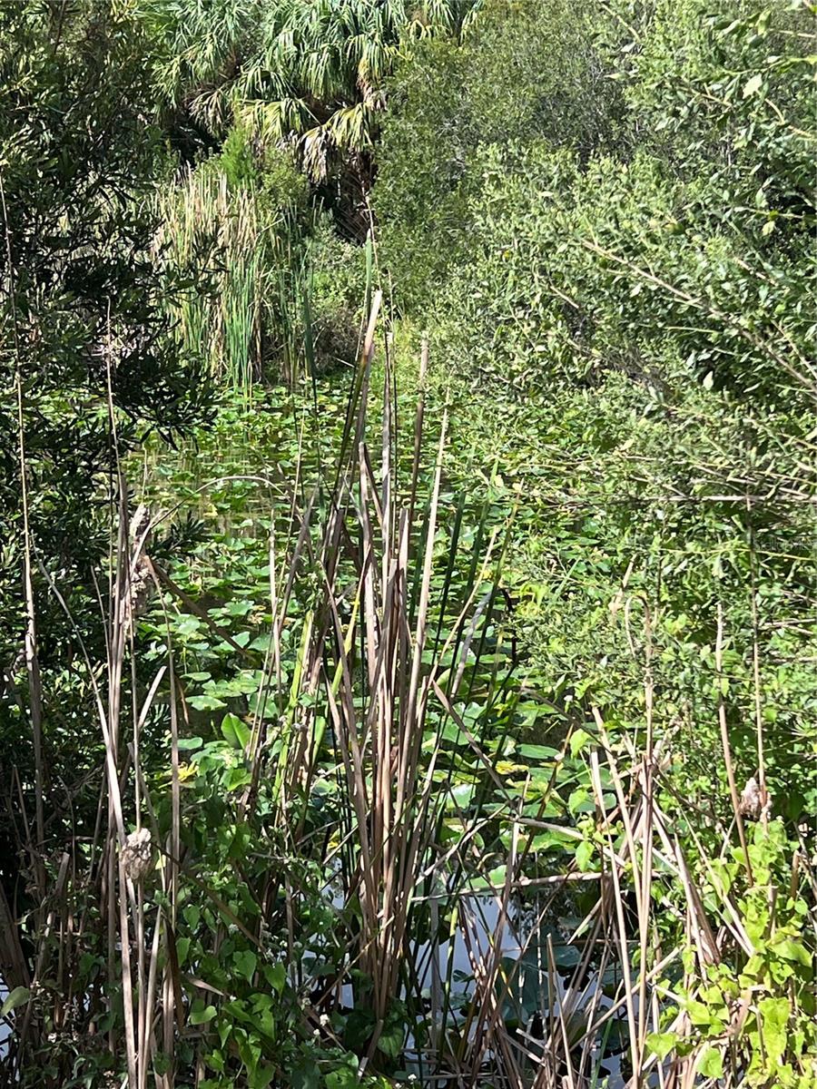 NFS 73 / ALCO RD, ASTOR, FL, 32102