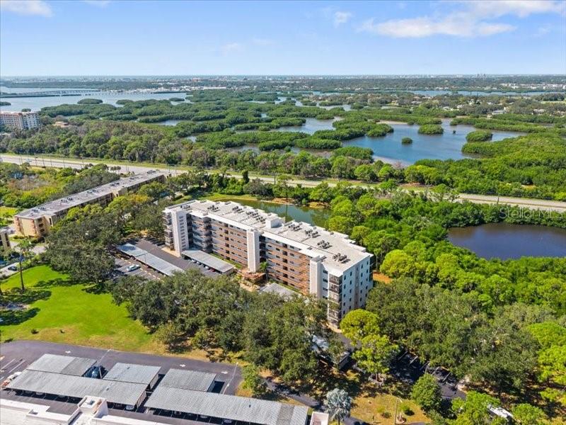 8186 TERRACE GARDEN DR N #401, ST PETERSBURG, FL, 33709