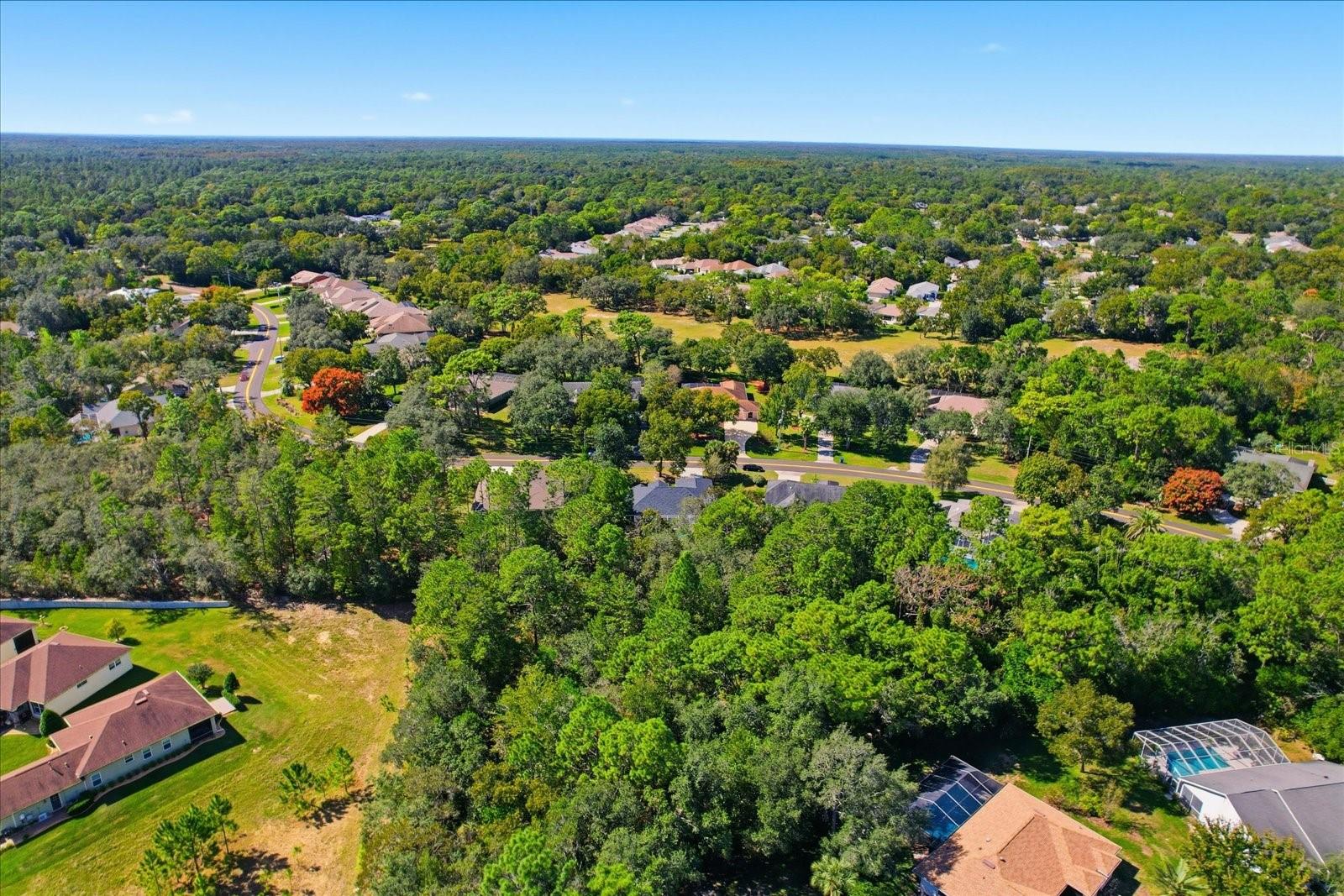 155 PINE ST, HOMOSASSA, FL, 34446