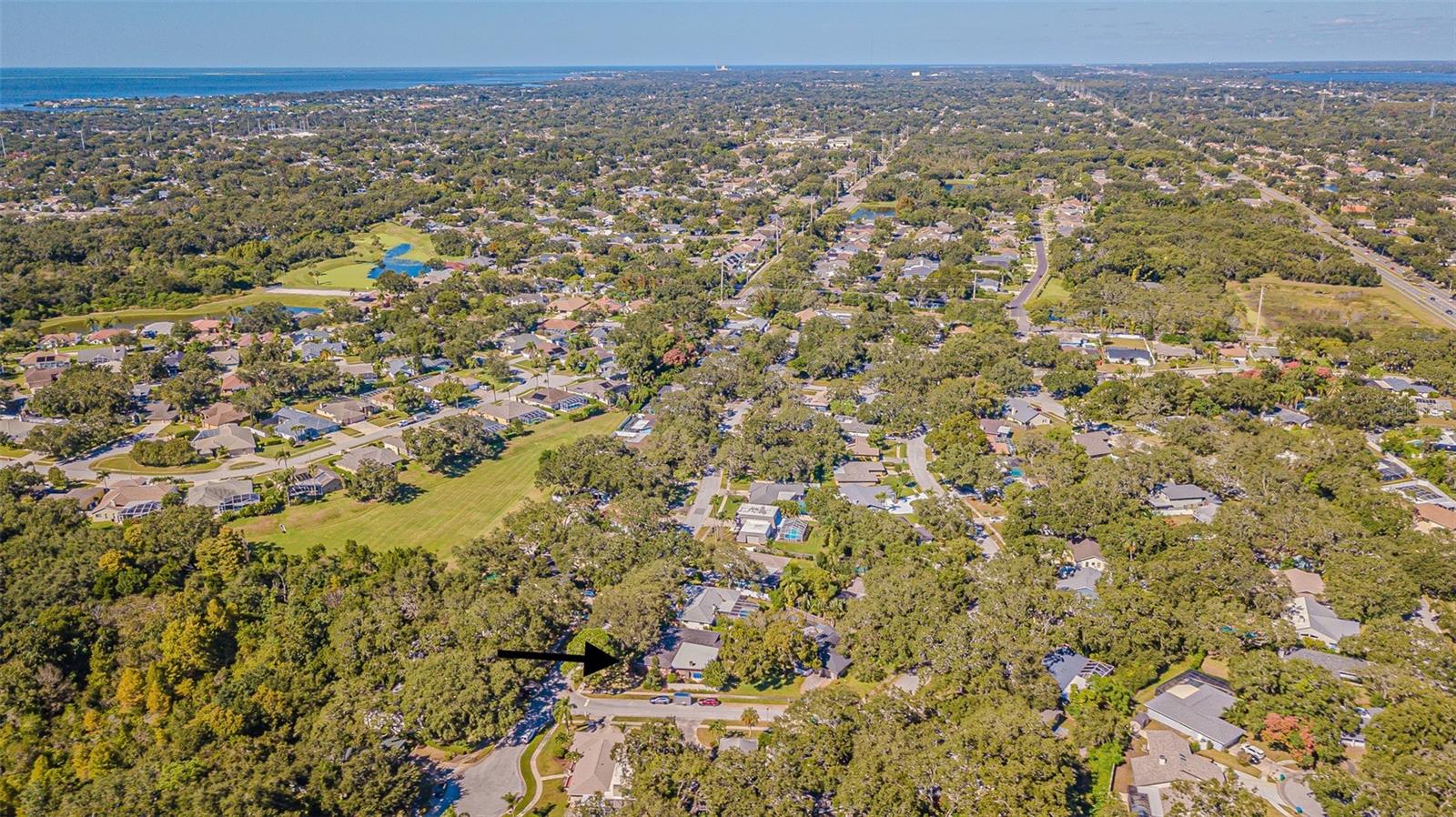 936 HIGHVIEW DR, PALM HARBOR, FL, 34683