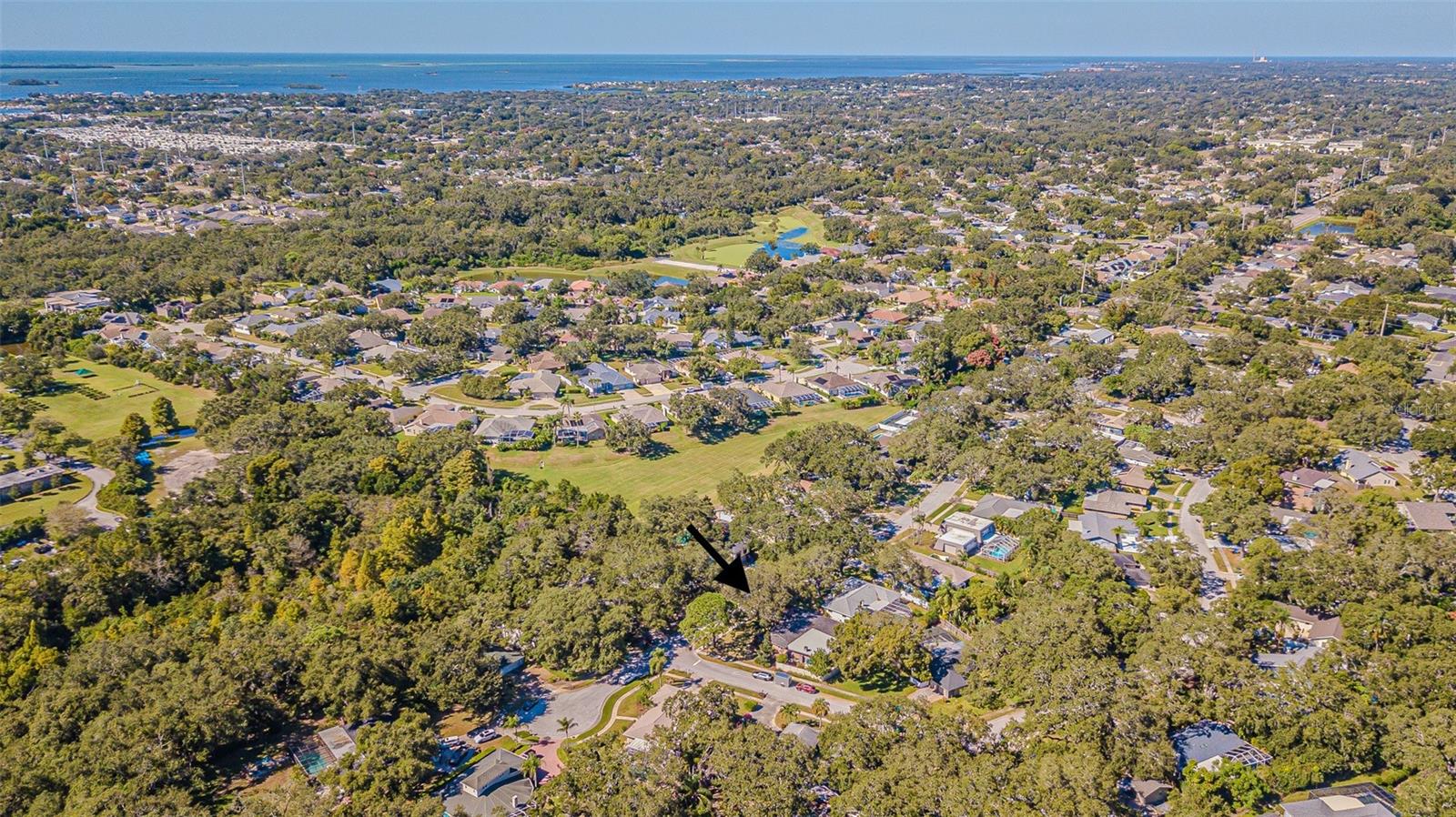 936 HIGHVIEW DR, PALM HARBOR, FL, 34683