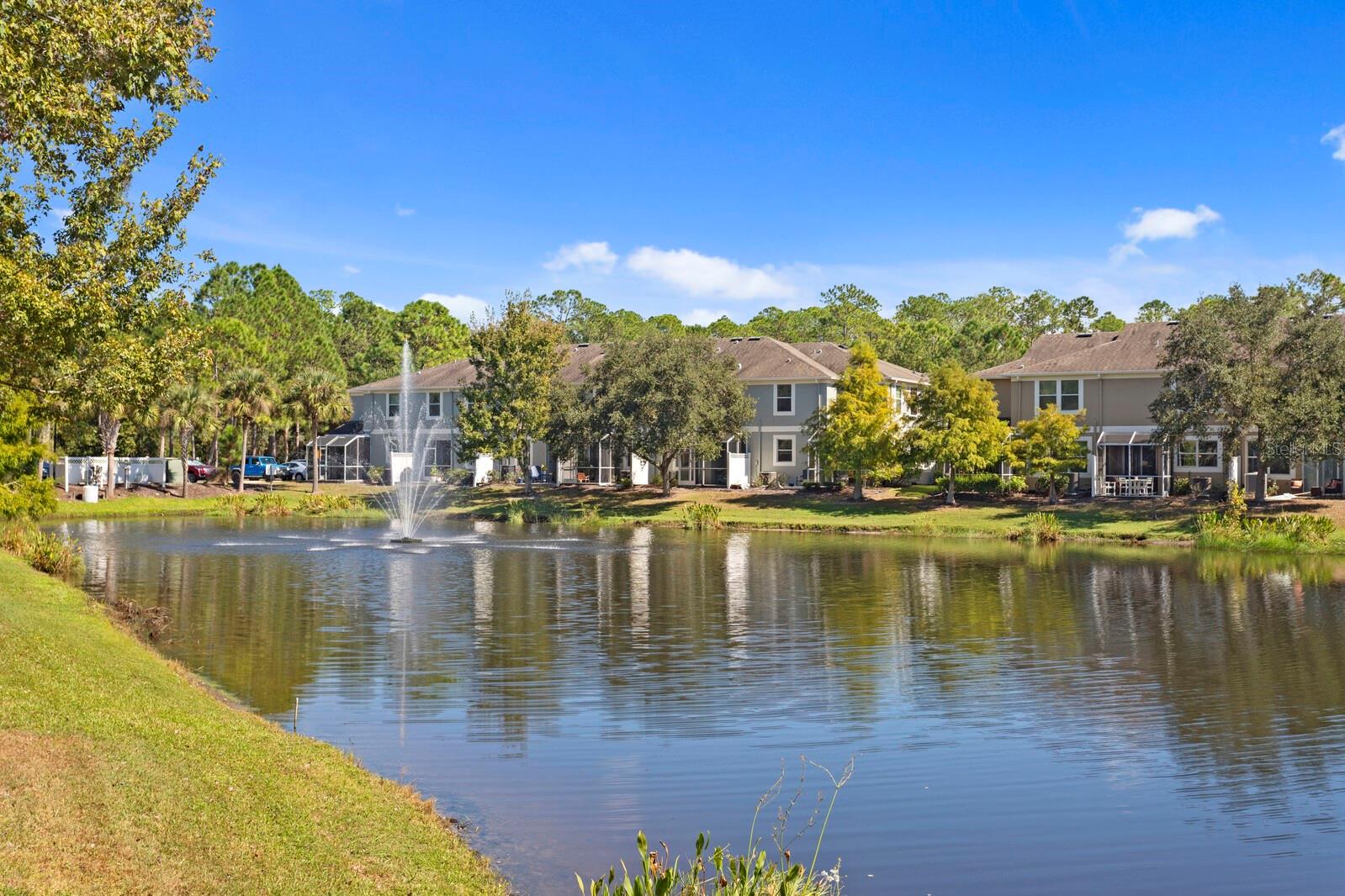 12525 SHIREBROOK CT, TAMPA, FL, 33626