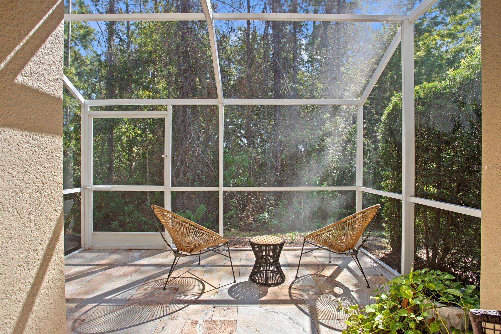 12525 SHIREBROOK CT, TAMPA, FL, 33626