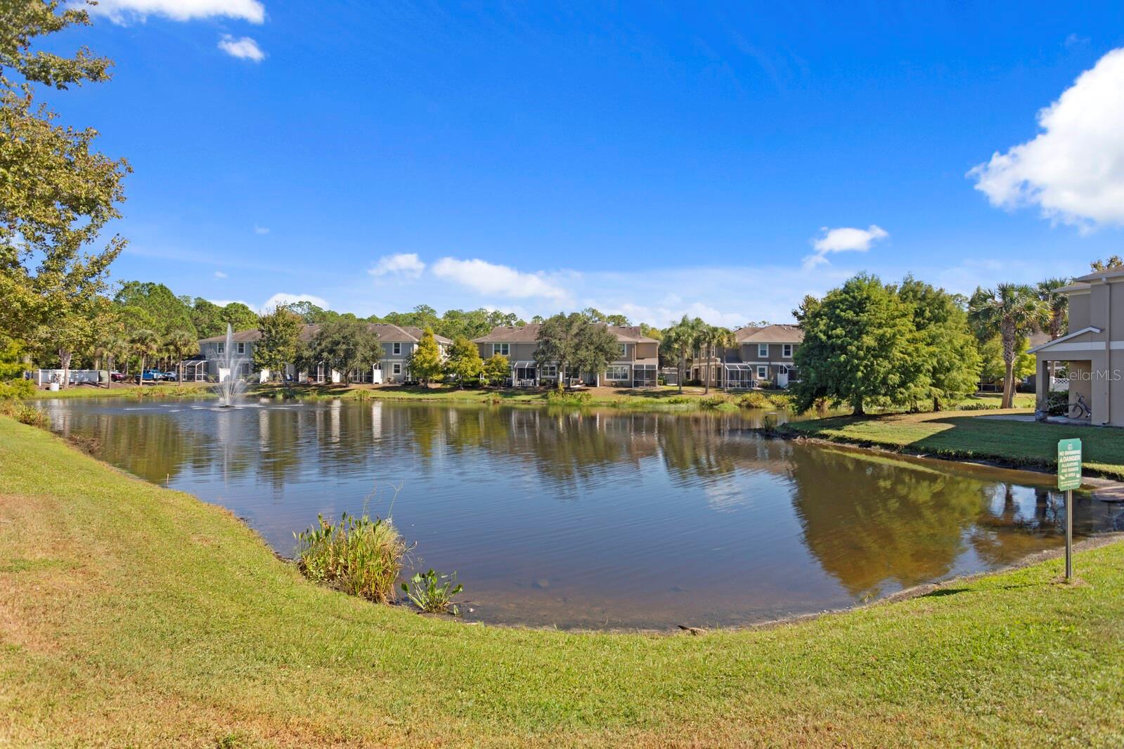 12525 SHIREBROOK CT, TAMPA, FL, 33626