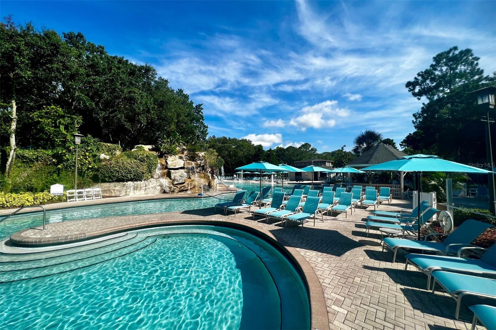 36750 US HIGHWAY 19 N #4-221, PALM HARBOR, FL, 34683