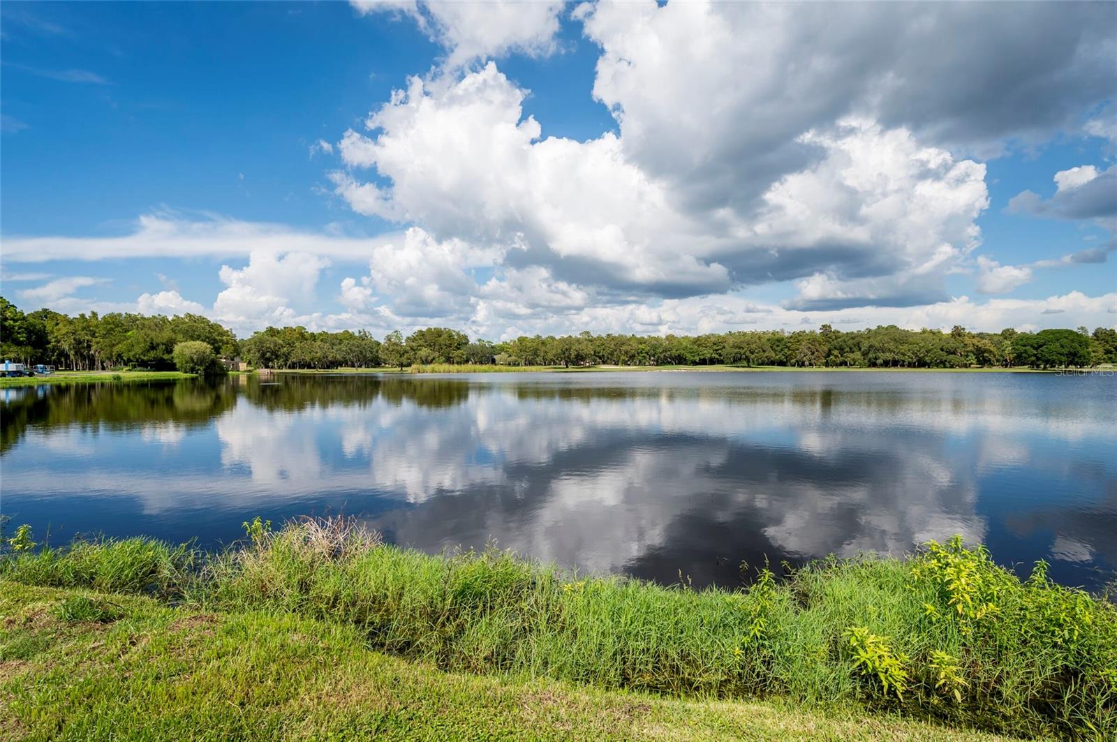 36750 US HIGHWAY 19 N #4-221, PALM HARBOR, FL, 34683