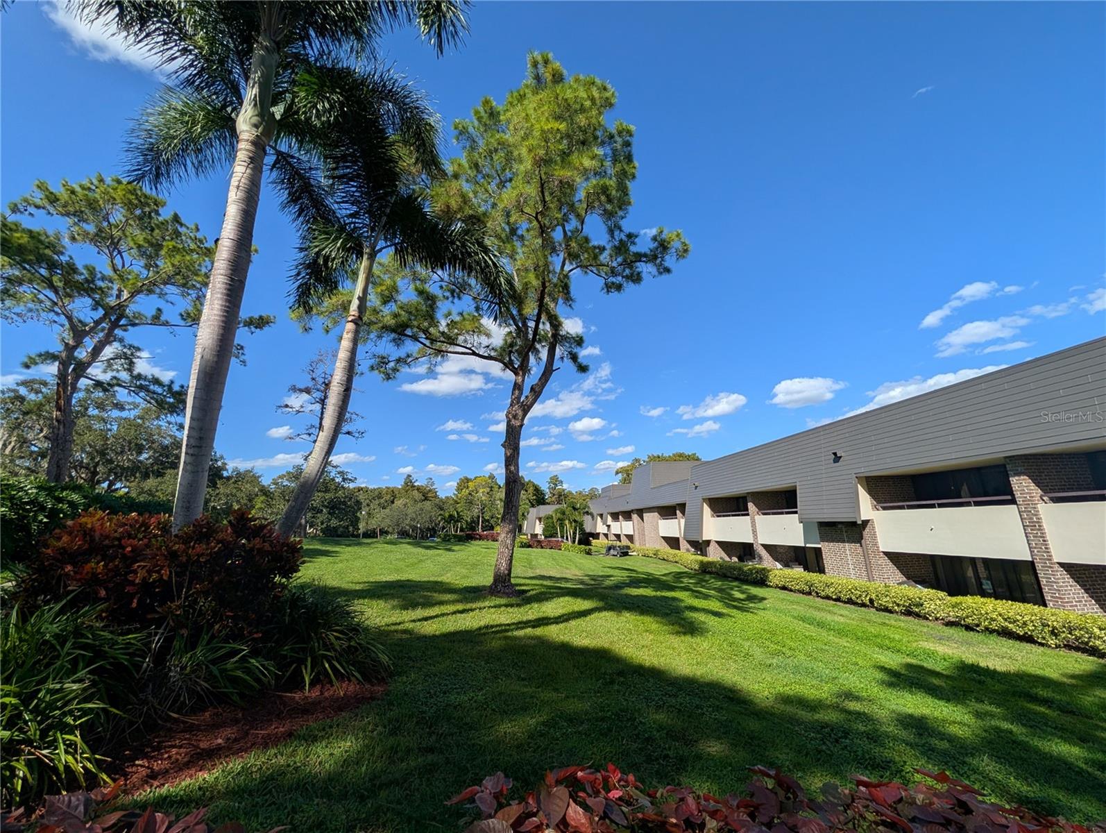 36750 US HIGHWAY 19 N #4-221, PALM HARBOR, FL, 34683