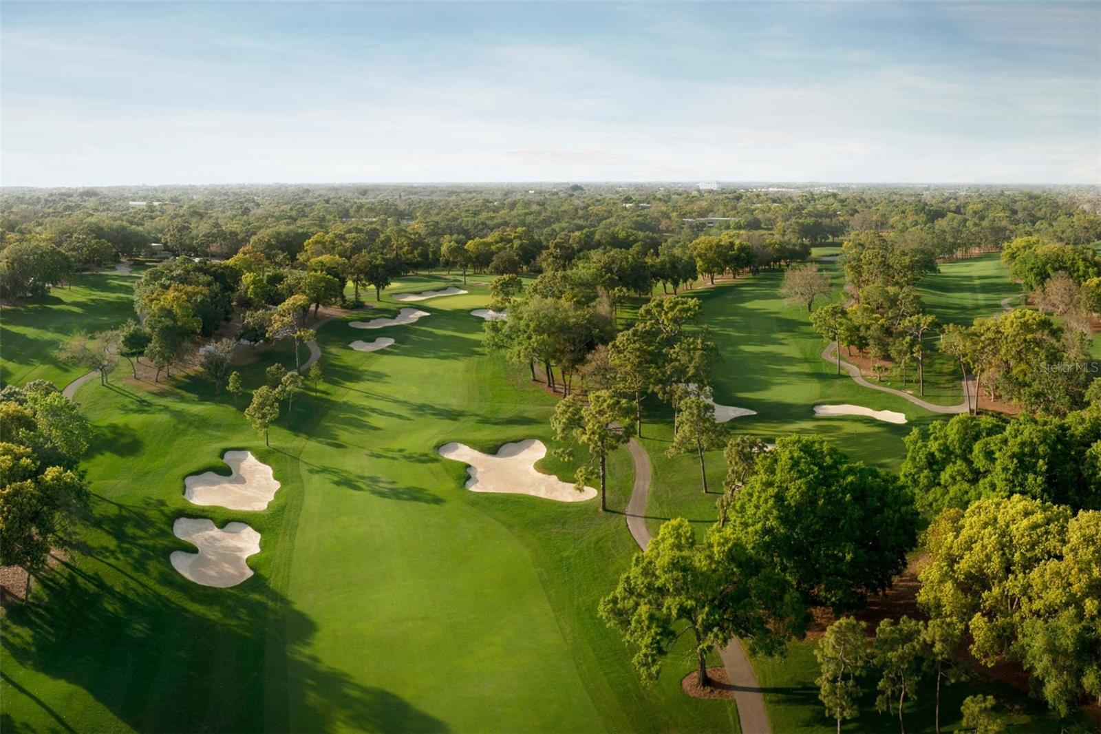 36750 US HIGHWAY 19 N #4-221, PALM HARBOR, FL, 34683