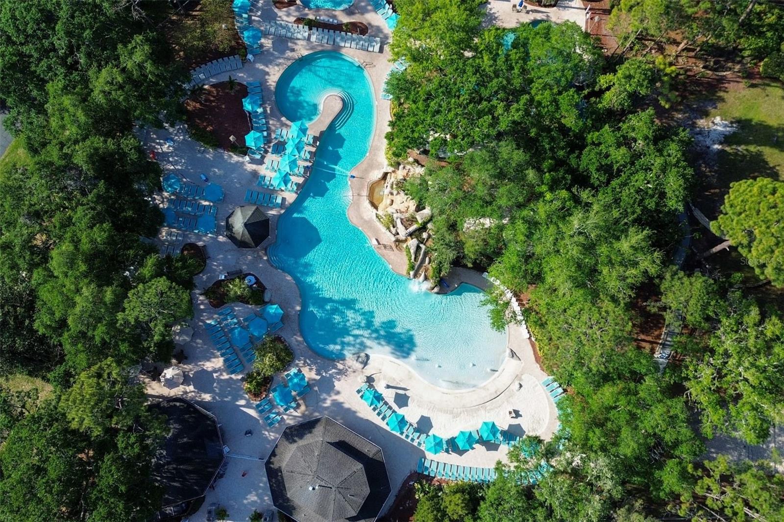 36750 US HIGHWAY 19 N #4-221, PALM HARBOR, FL, 34683