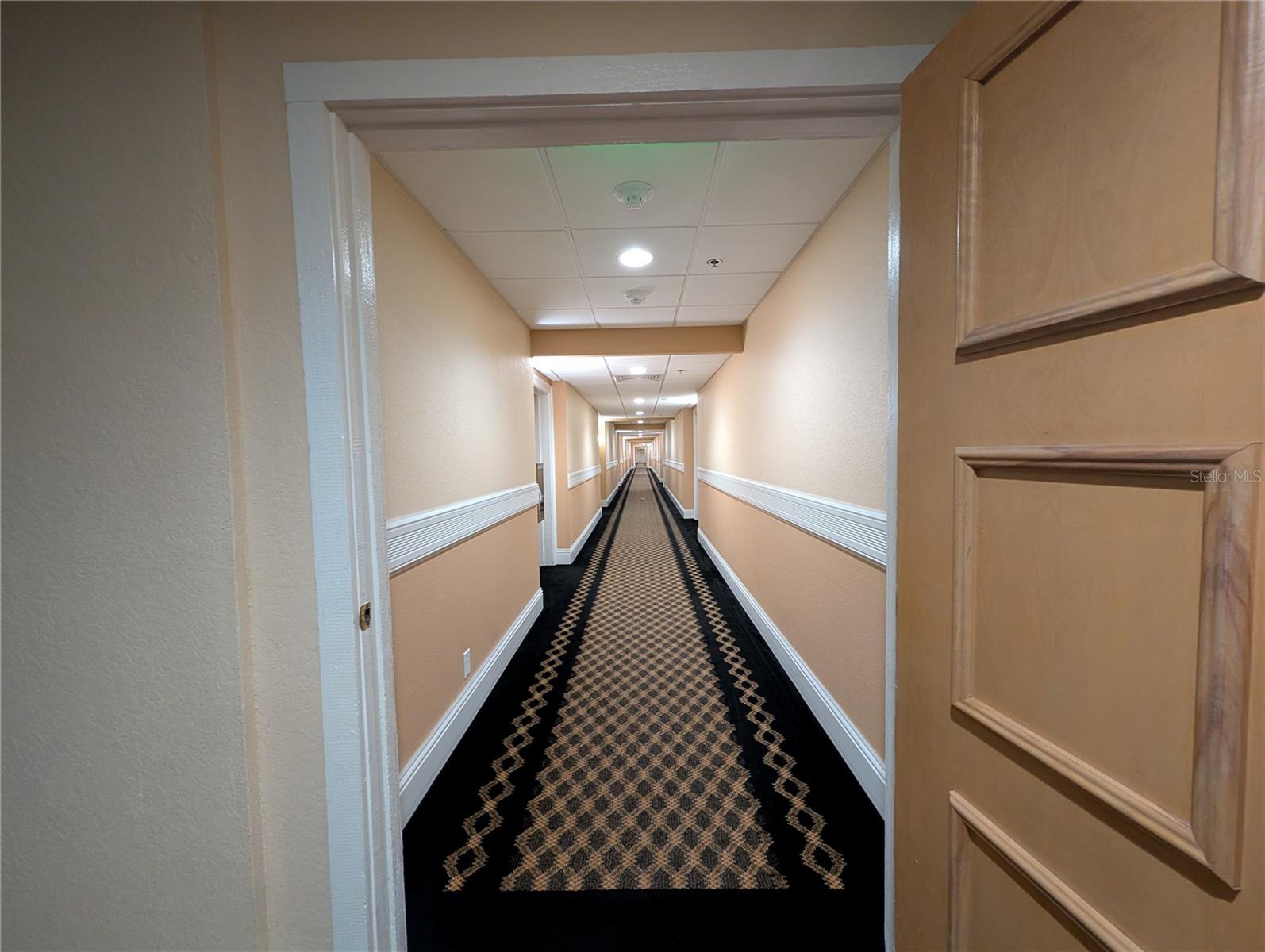 36750 US HIGHWAY 19 N #4-221, PALM HARBOR, FL, 34683