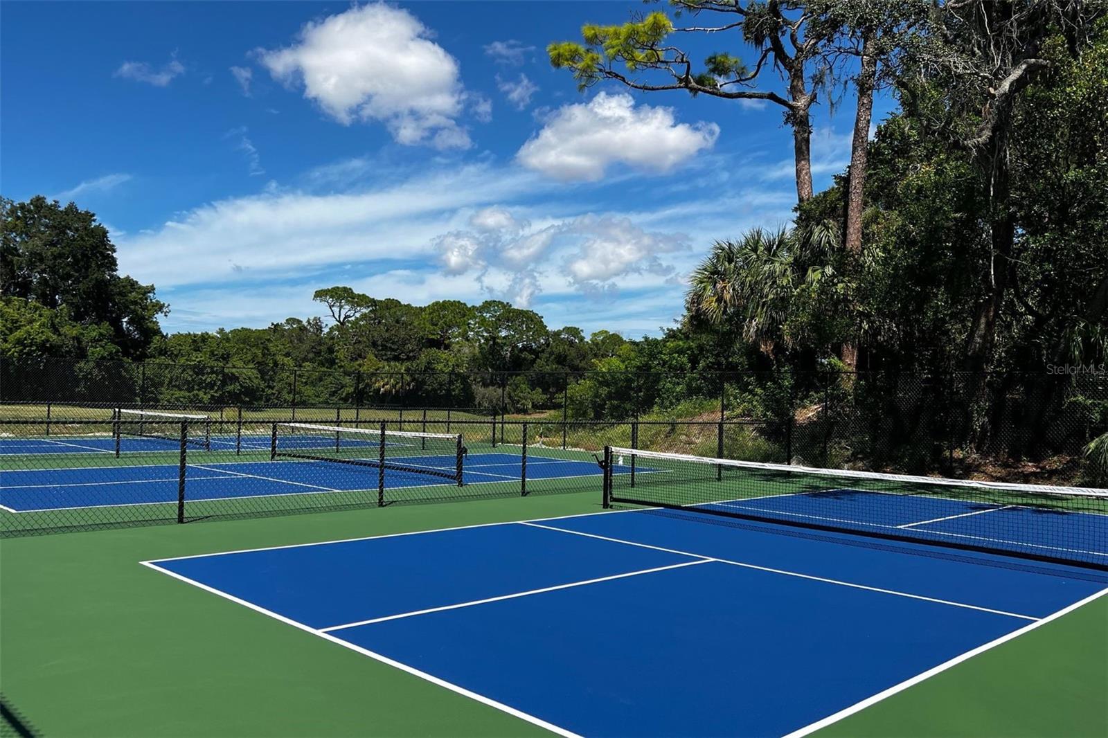 36750 US HIGHWAY 19 N #4-221, PALM HARBOR, FL, 34683