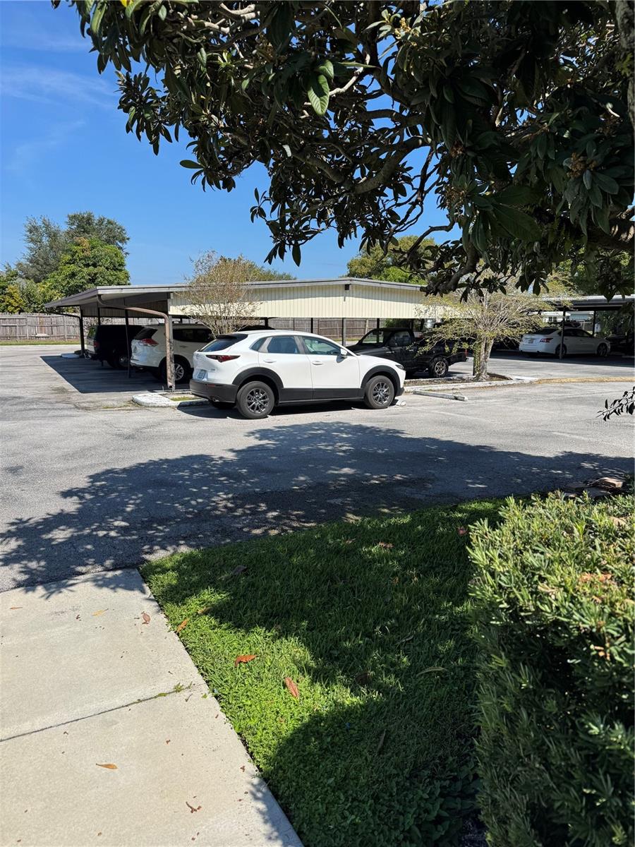 1130 N LAKE PARKER AVE #B111, LAKELAND, FL, 33805