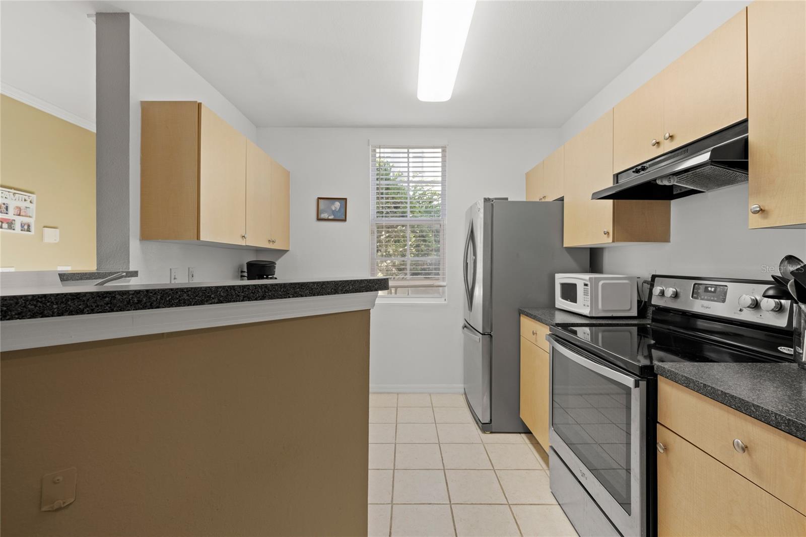 714 SIENA PALM DR #102, KISSIMMEE, FL, 34747