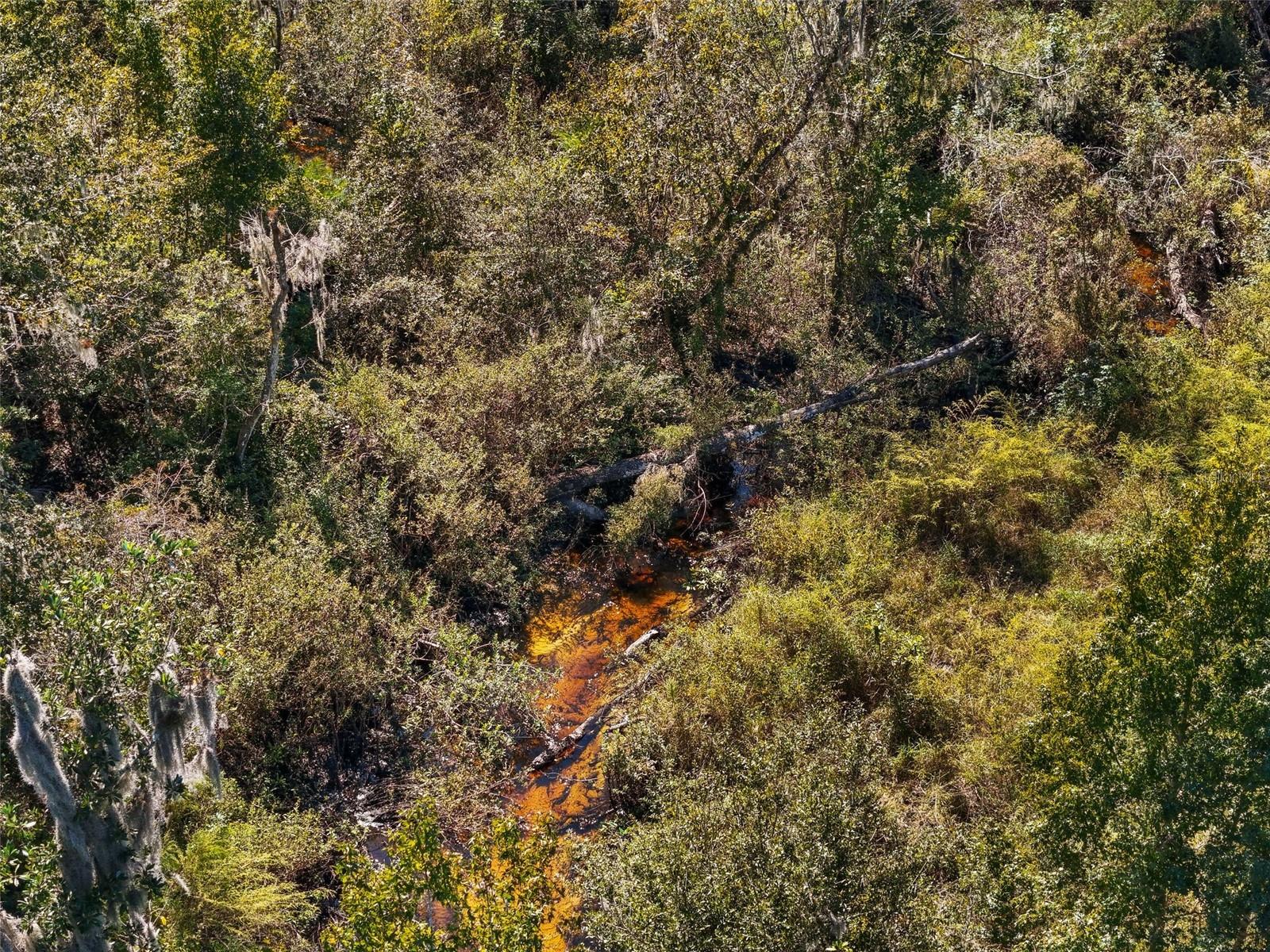 8205 KEEN CEMETERY RD, DUETTE, FL, 34219