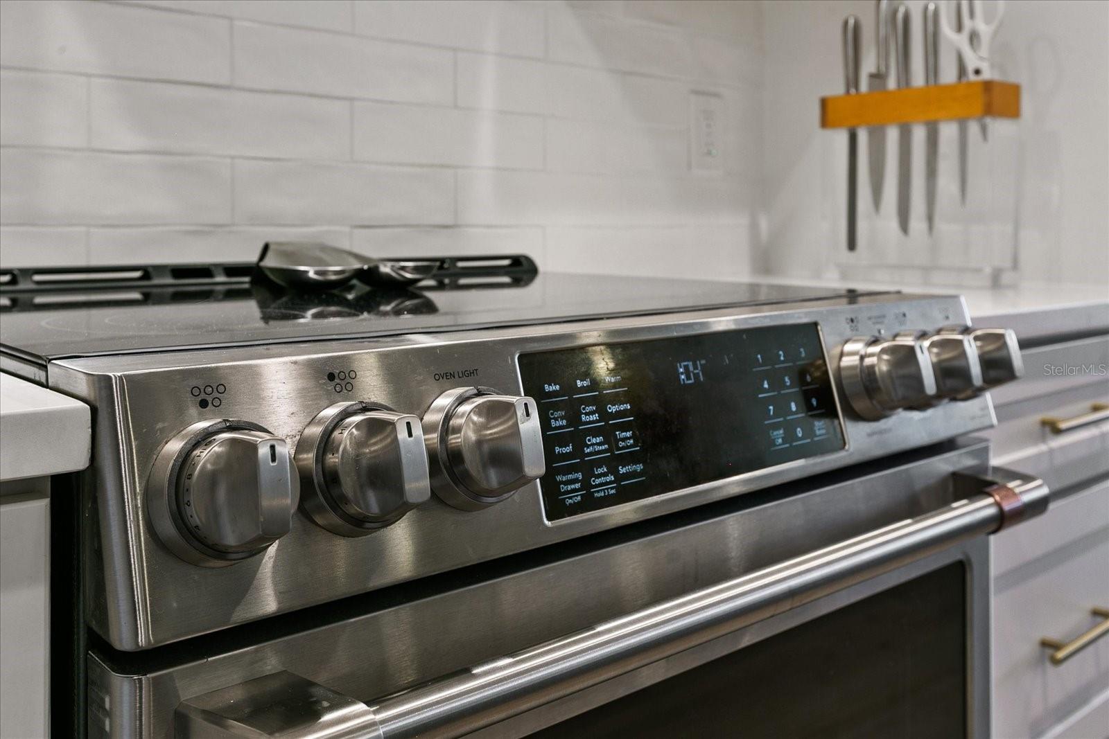 920 N OSCEOLA AVE #303, CLEARWATER, FL, 33755