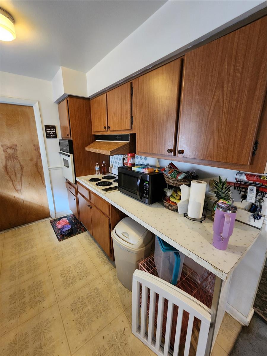 708 SNOWDEN ST, OCOEE, FL, 34761