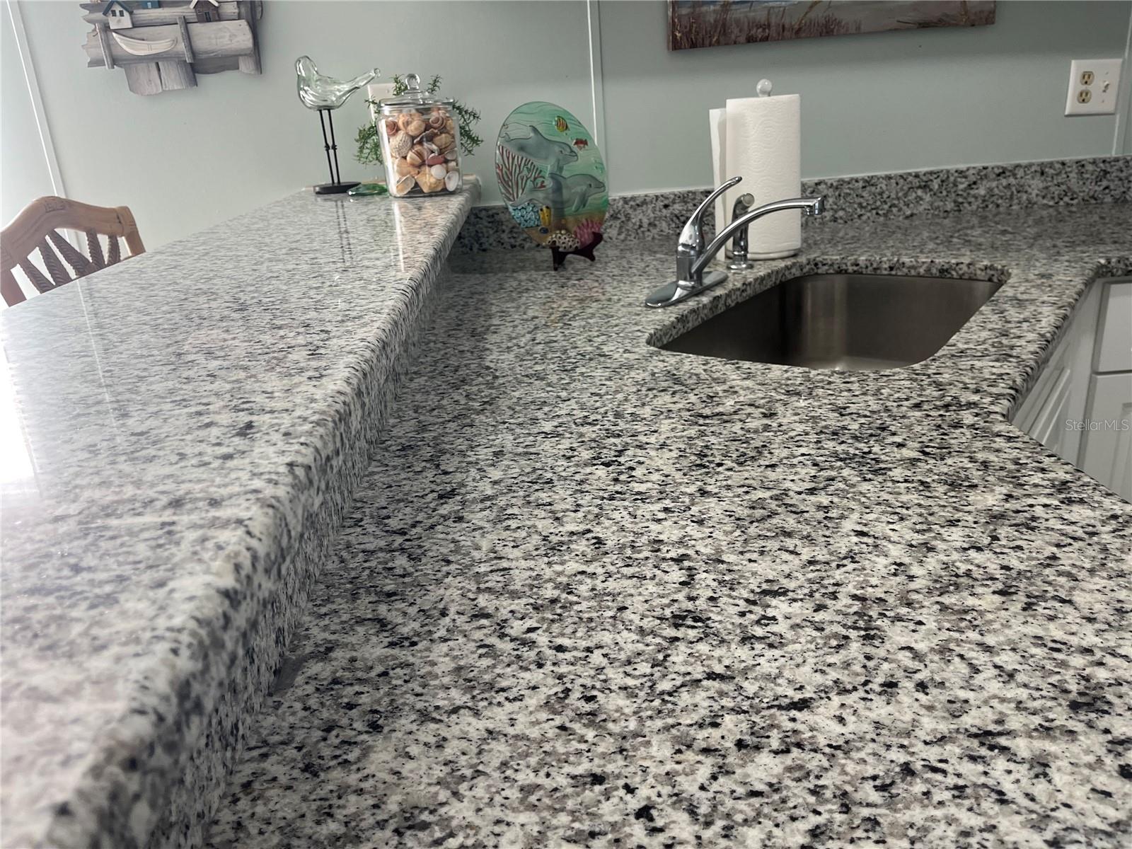 229 STARBOARD DR, FLAGLER BEACH, FL, 32136