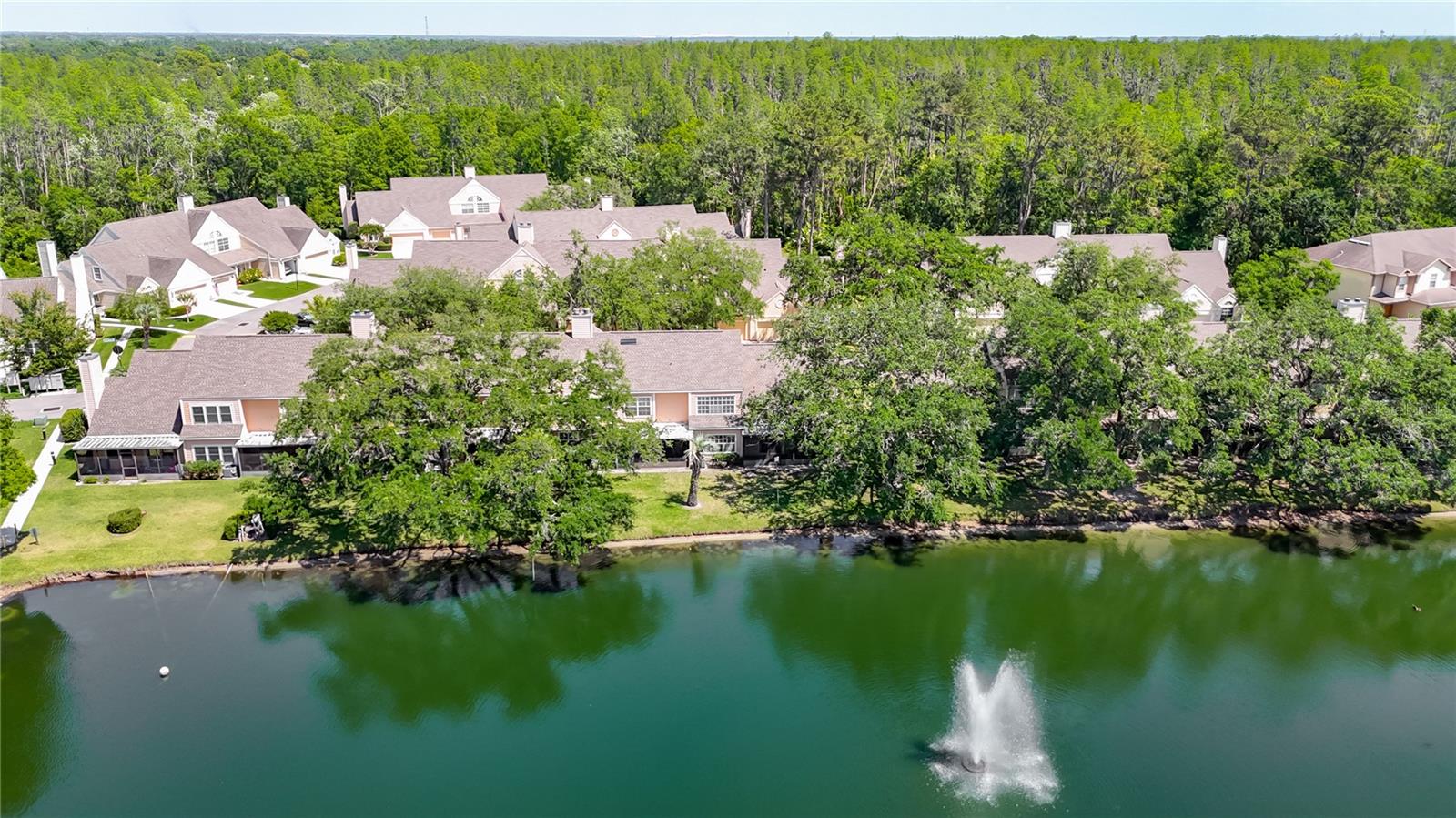 3611 PINE KNOT DR #., VALRICO, FL, 33596