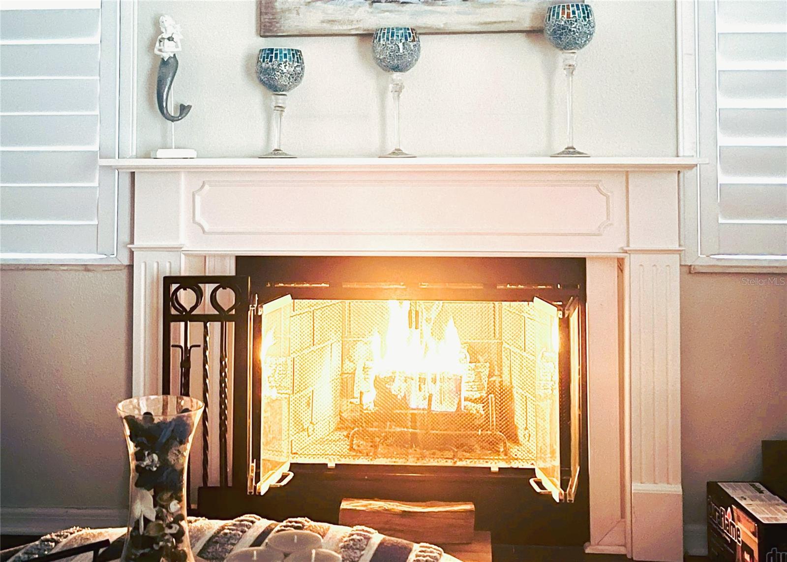 3611 PINE KNOT DR #., VALRICO, FL, 33596