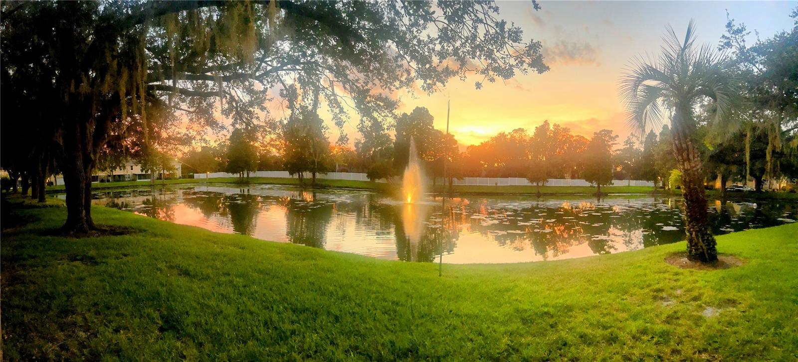 3611 PINE KNOT DR #., VALRICO, FL, 33596