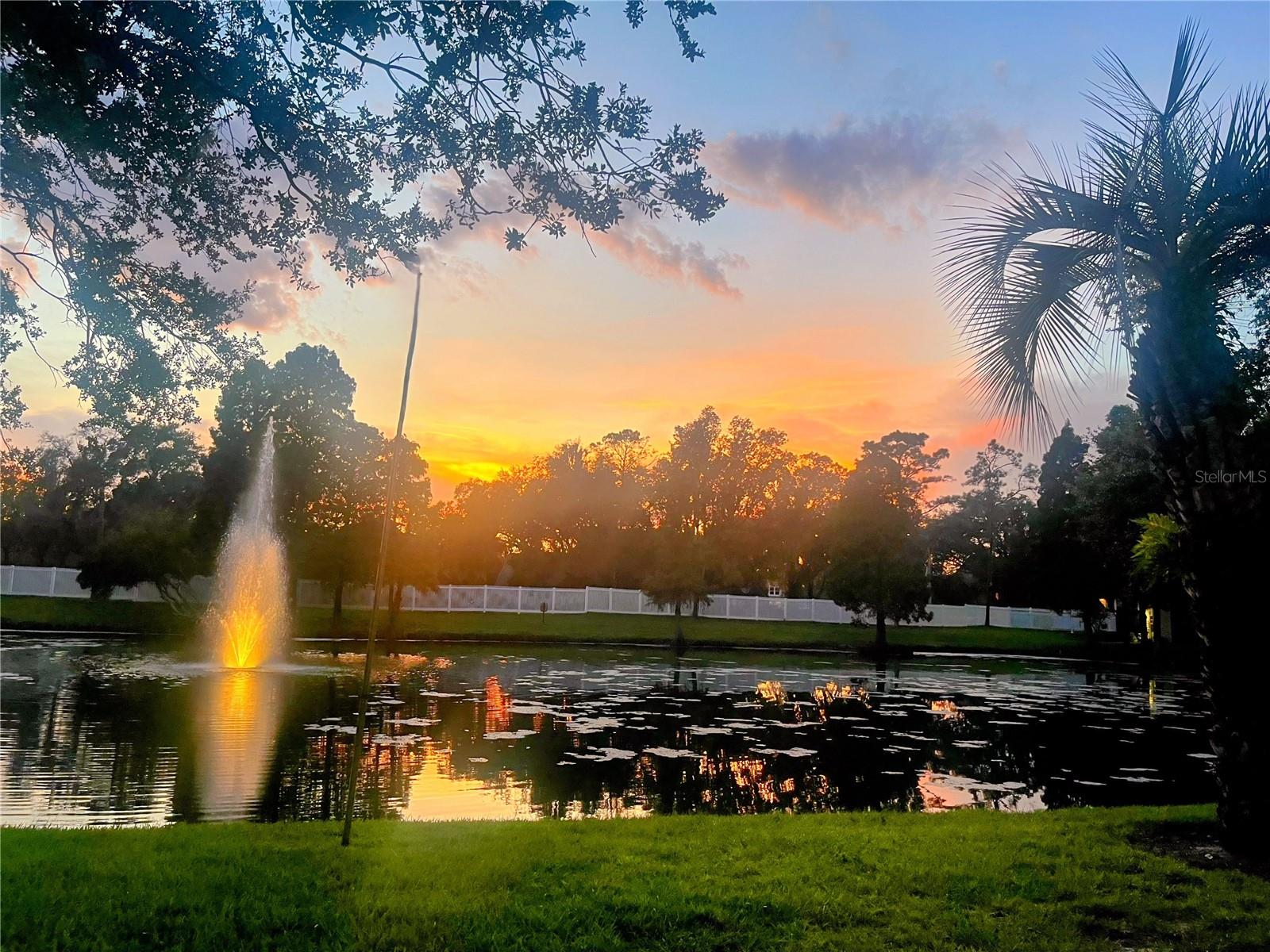 3611 PINE KNOT DR #., VALRICO, FL, 33596