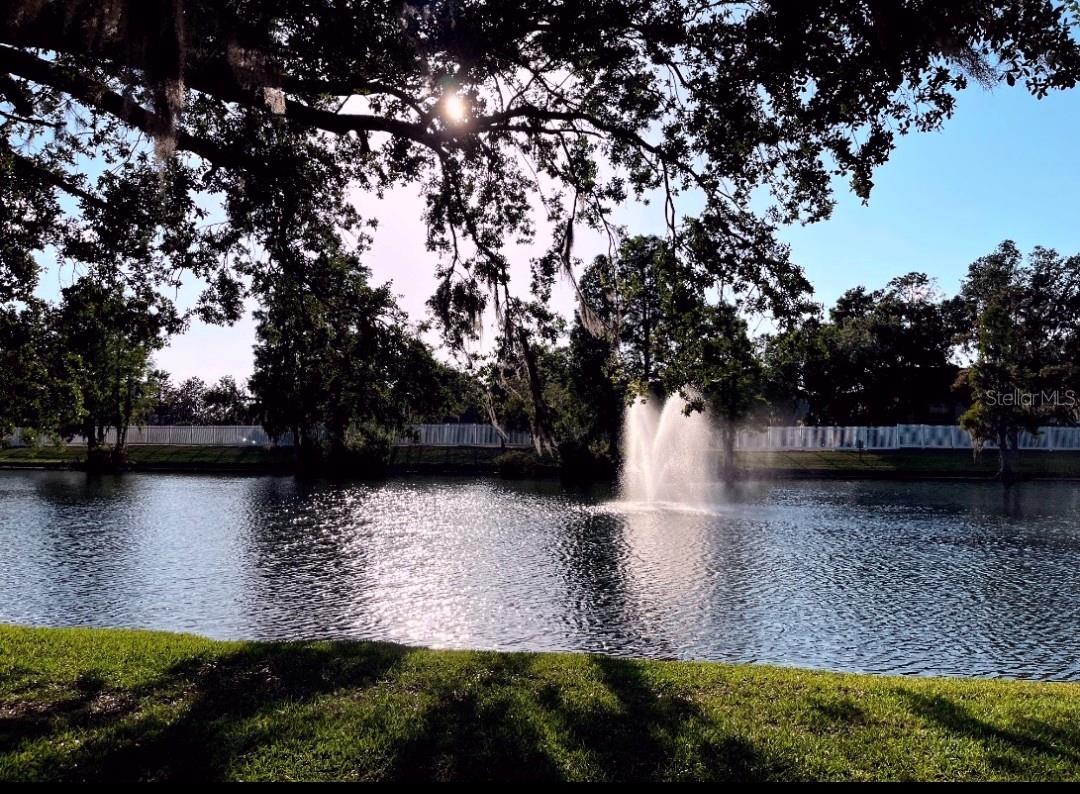 3611 PINE KNOT DR #., VALRICO, FL, 33596