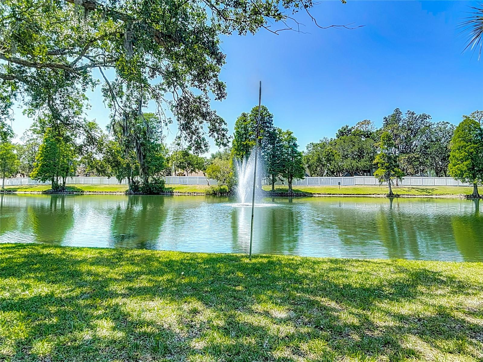 3611 PINE KNOT DR #., VALRICO, FL, 33596