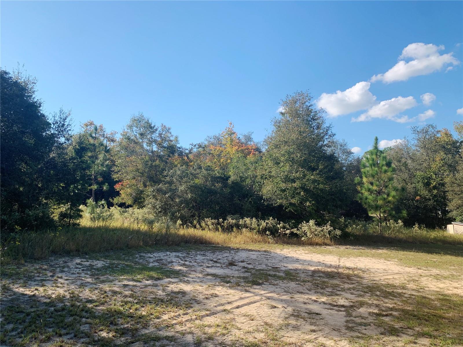 11234 N FARMWOOD AVE #1, DUNNELLON, FL, 34433