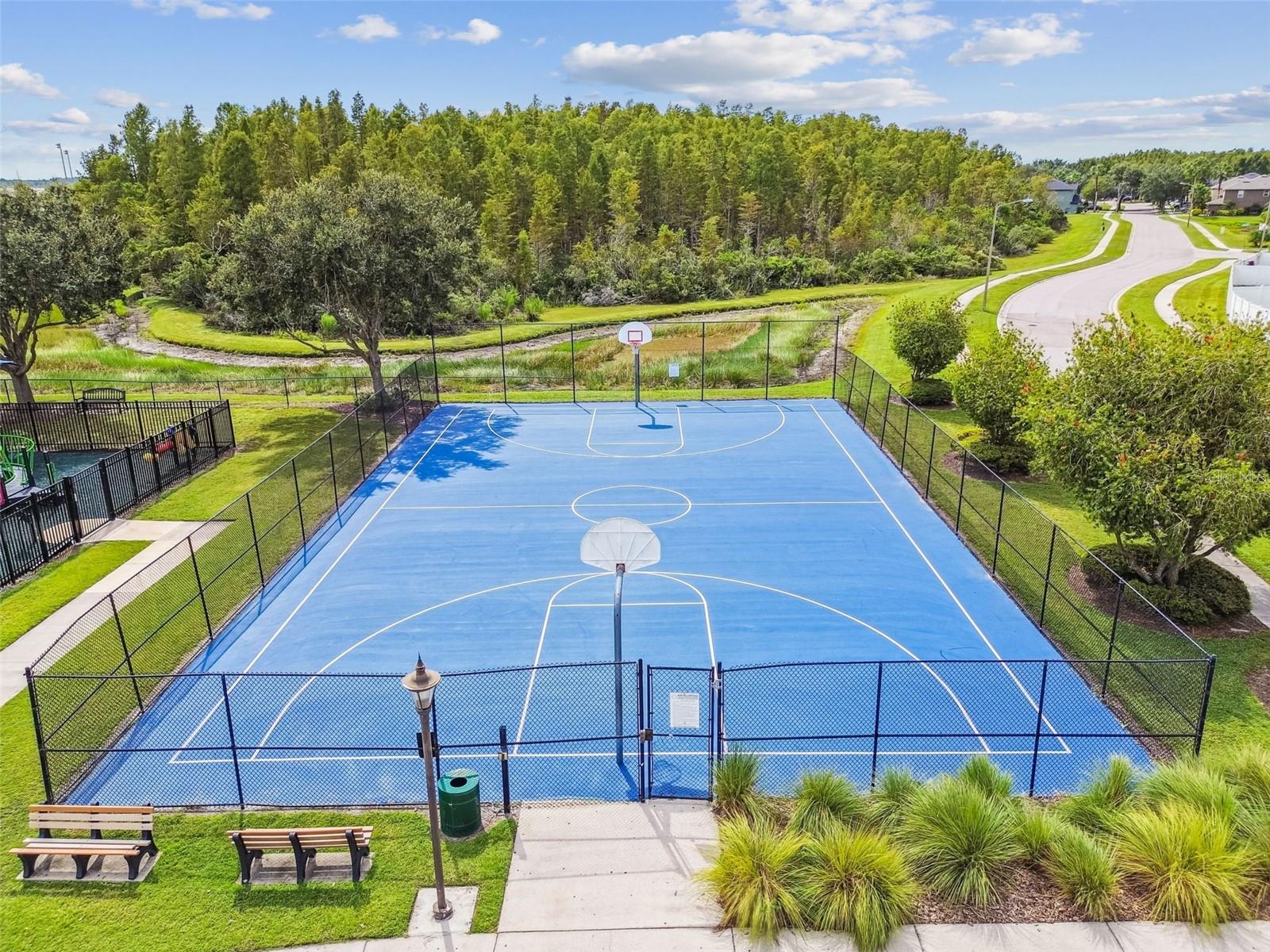 18530 STROMBURY DR, LAND O LAKES, FL, 34638