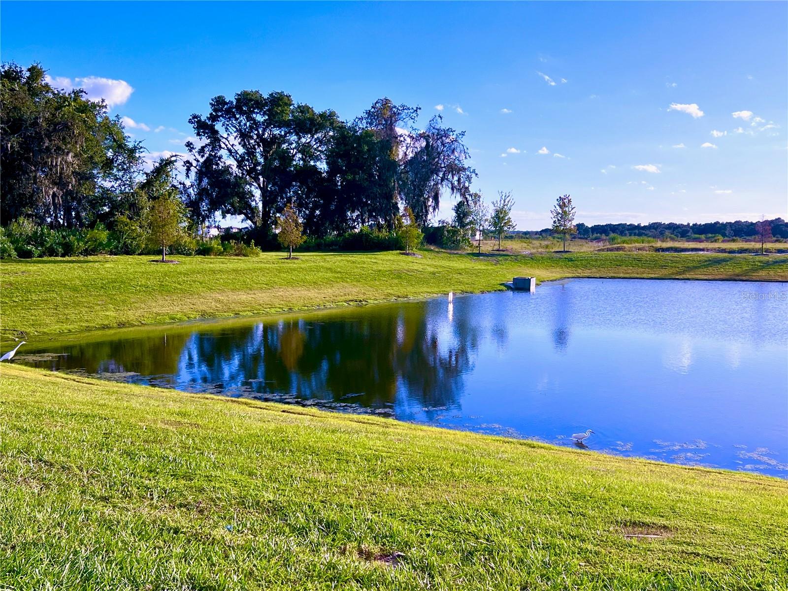 2469 SPRING TUNE ALY, KISSIMMEE, FL, 34744