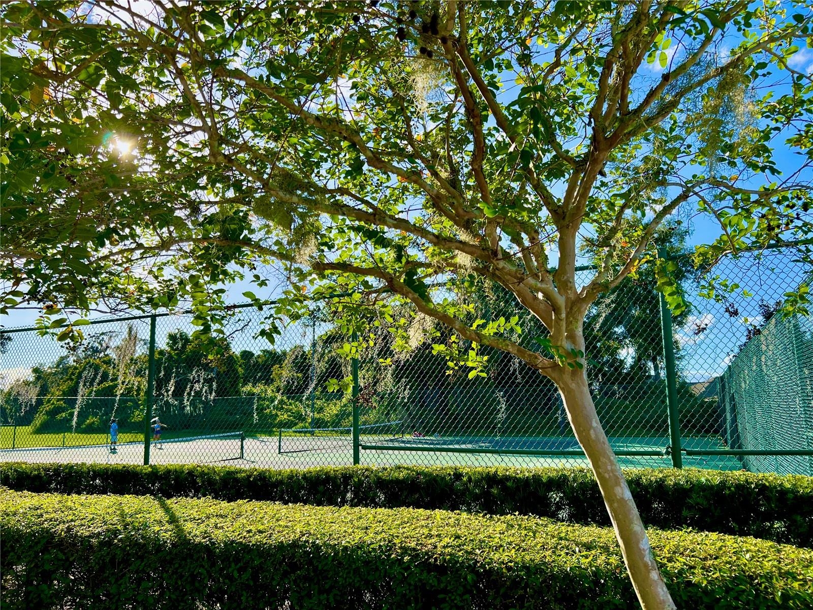 2469 SPRING TUNE ALY, KISSIMMEE, FL, 34744