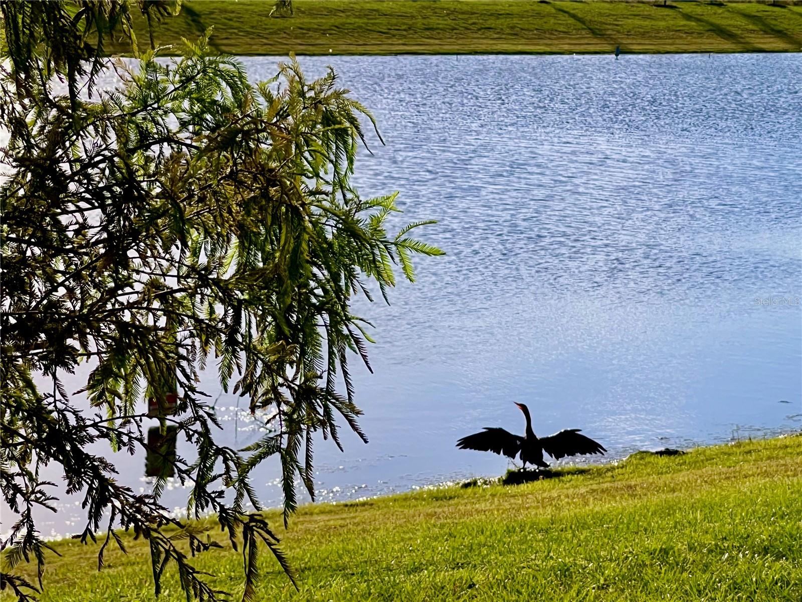 2469 SPRING TUNE ALY, KISSIMMEE, FL, 34744