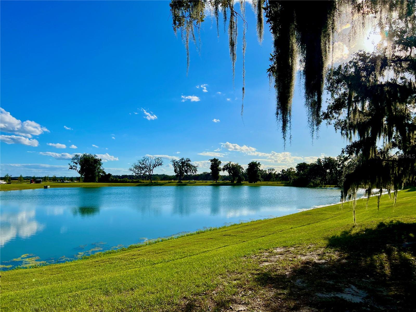 2469 SPRING TUNE ALY, KISSIMMEE, FL, 34744