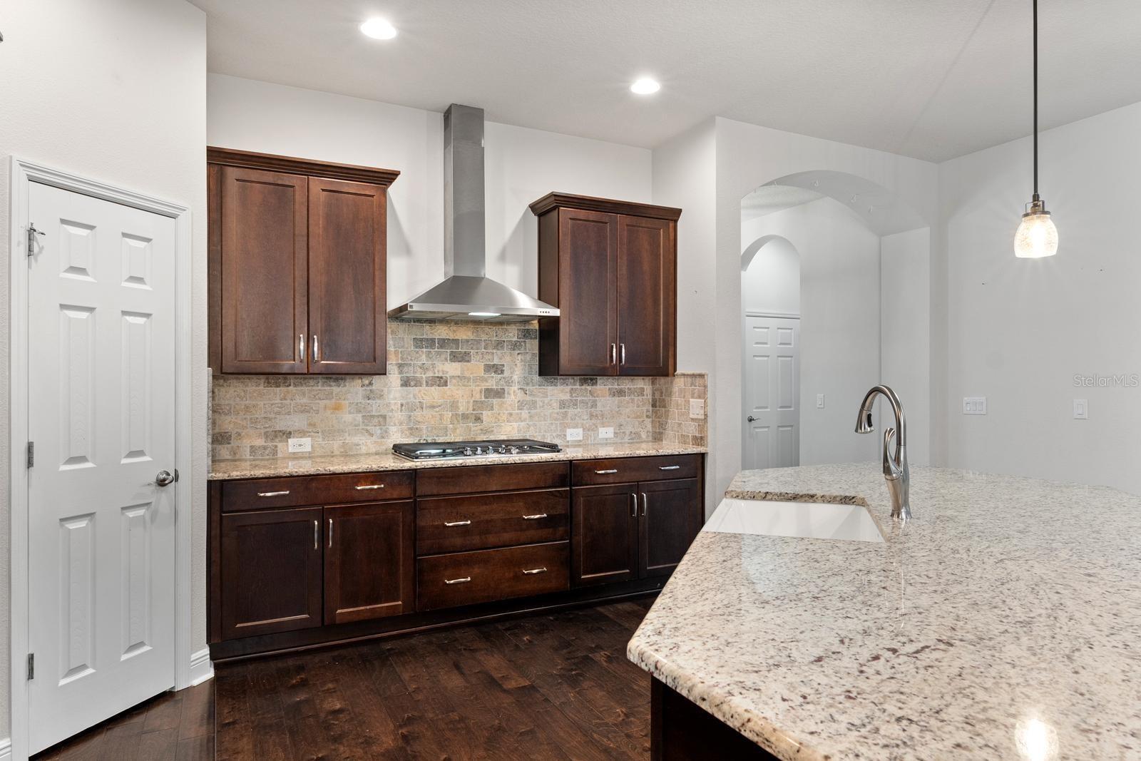 4127 BROAD PORCH RUN, LAND O LAKES, FL, 34638