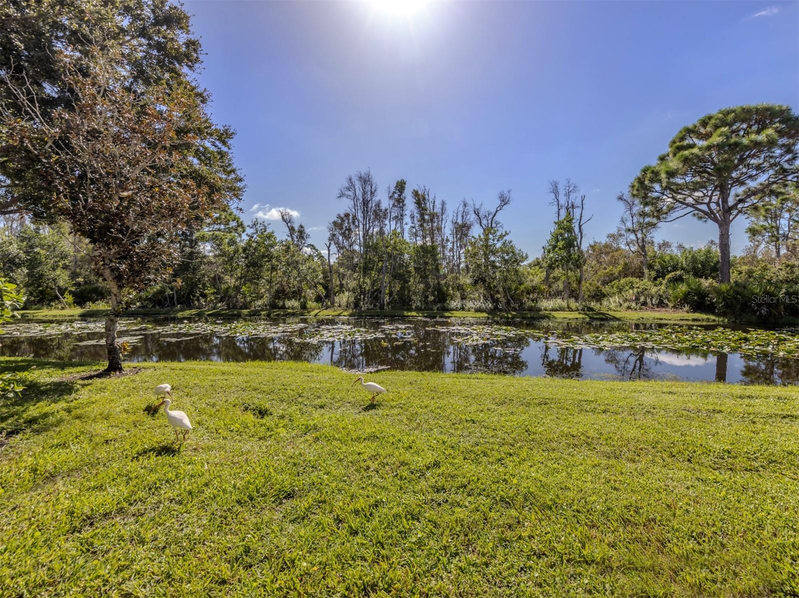 4430 CORSO VENETIA BLVD #A11, VENICE, FL, 34293