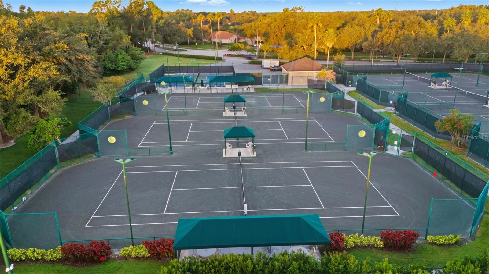 10145 DEERCLIFF DR, TAMPA, FL, 33647